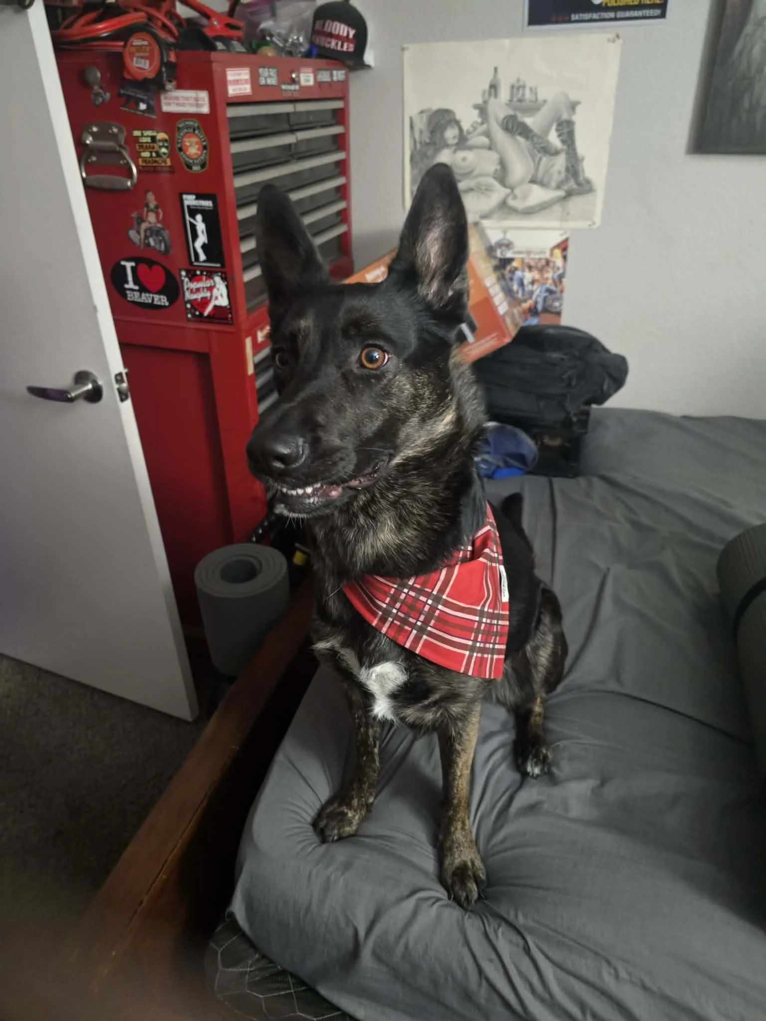 Thank you for helping Aggie!