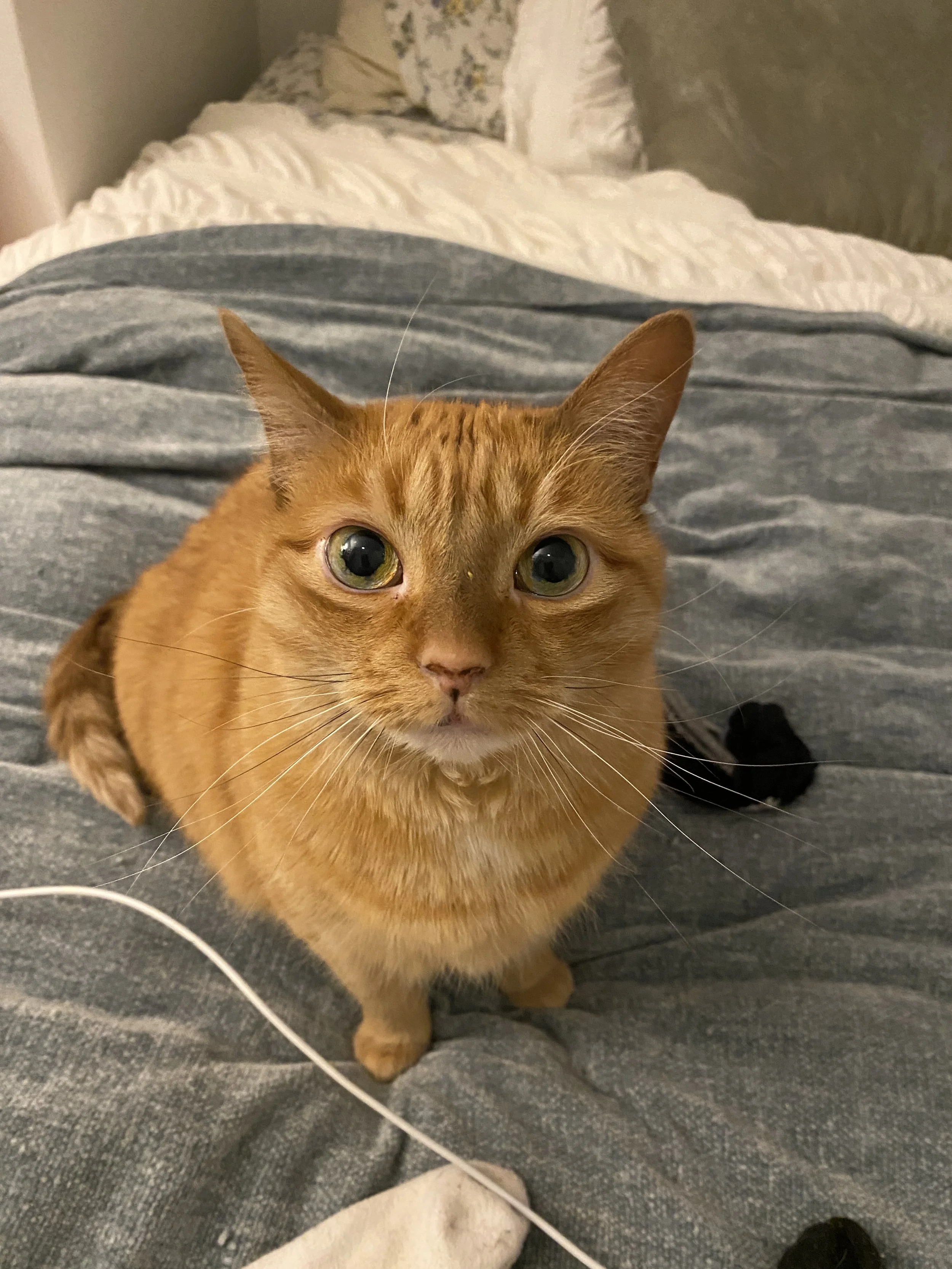Clarice's diagnosis was one of my worst nightmares come true.