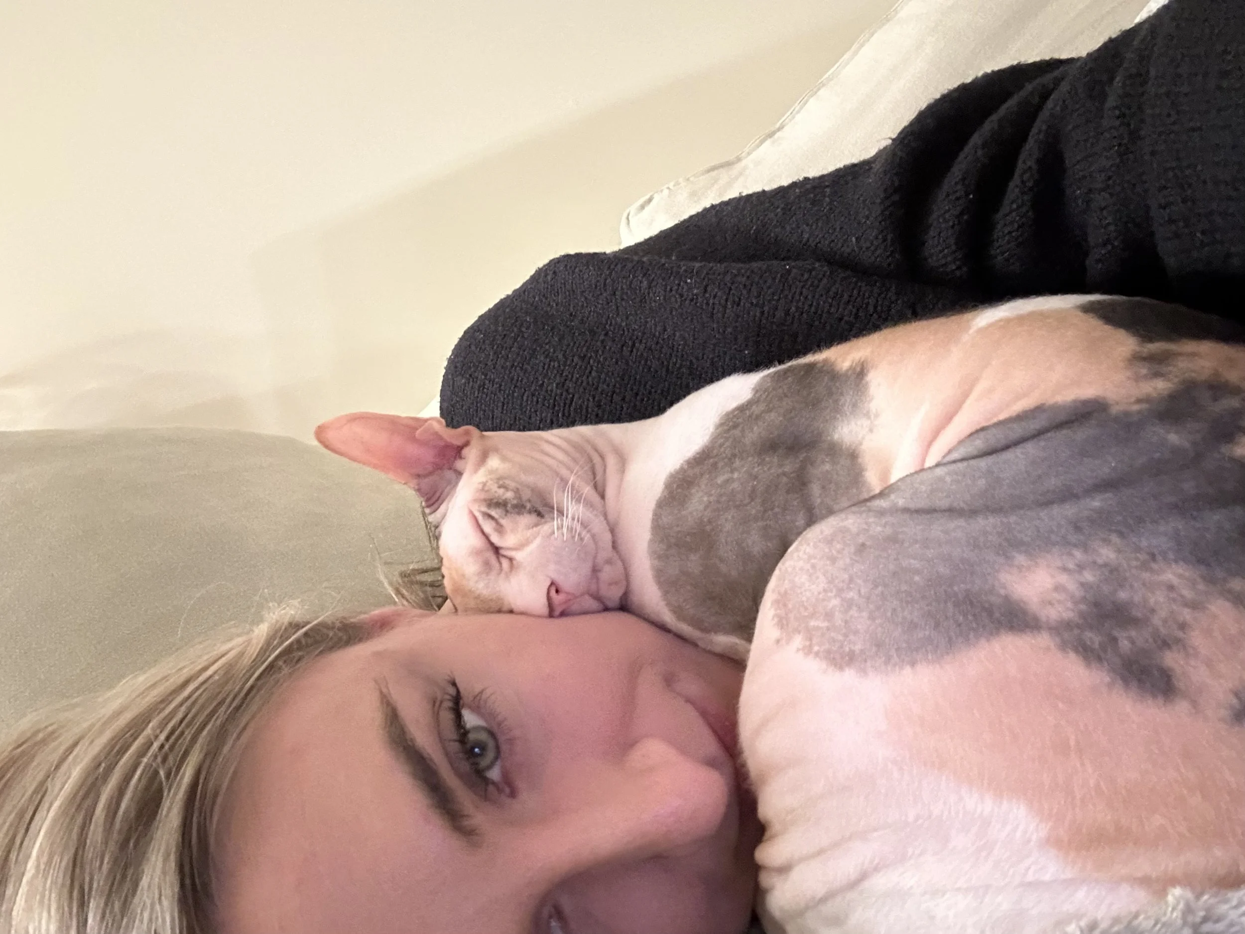 Chanel is a four-year-old Cornish Rex and truly the sweetest cat I could ever ask for. 