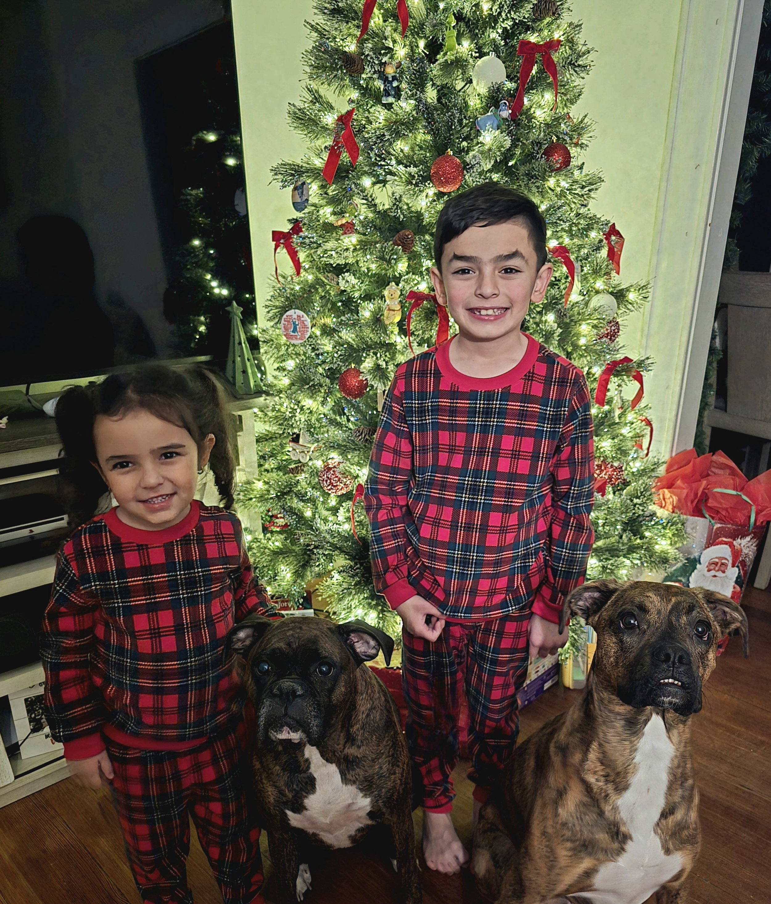 We really appreciate your consideration in helping save our dog Romo.