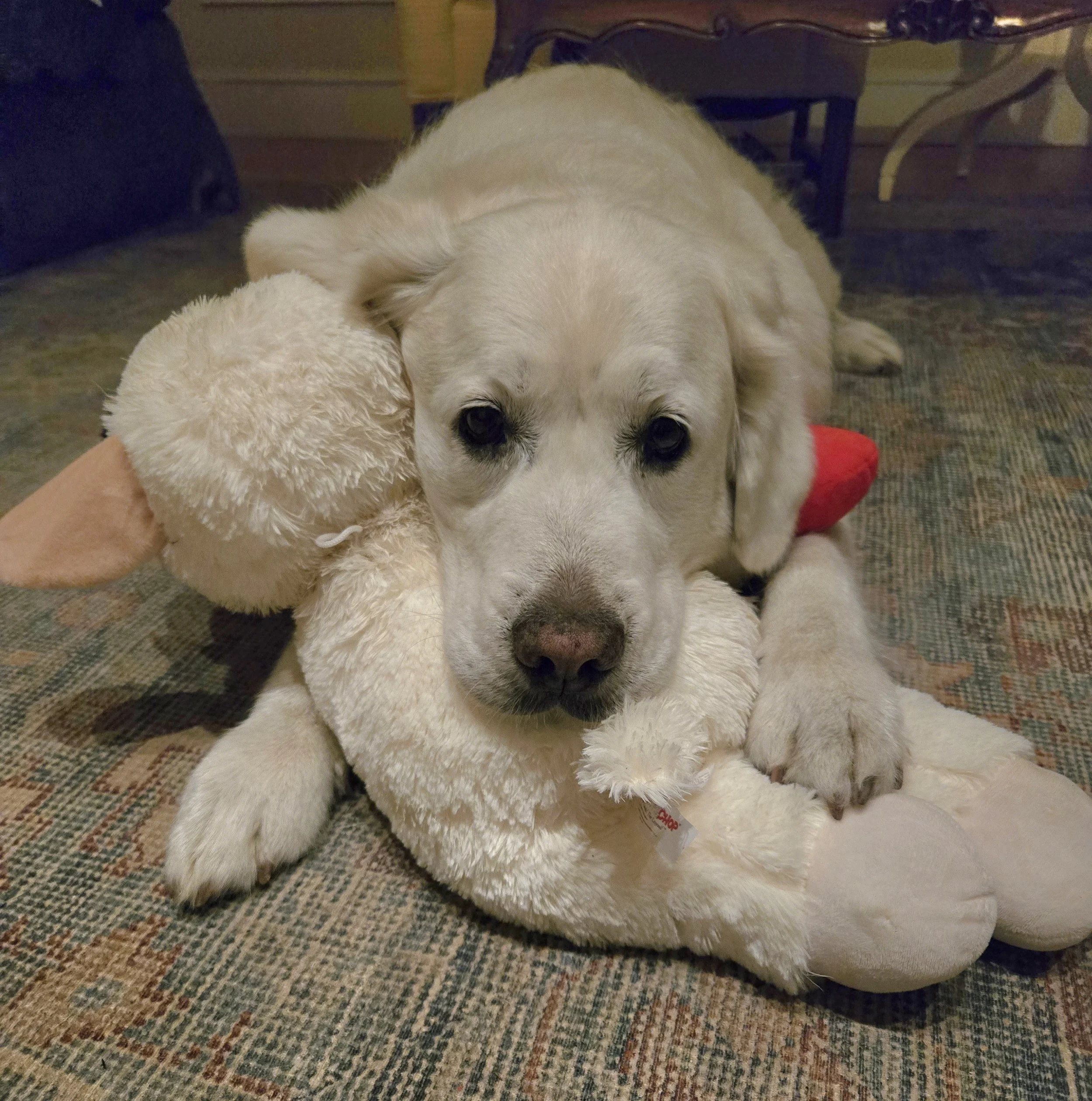 Anya has been a real trooper since her diagnosis.