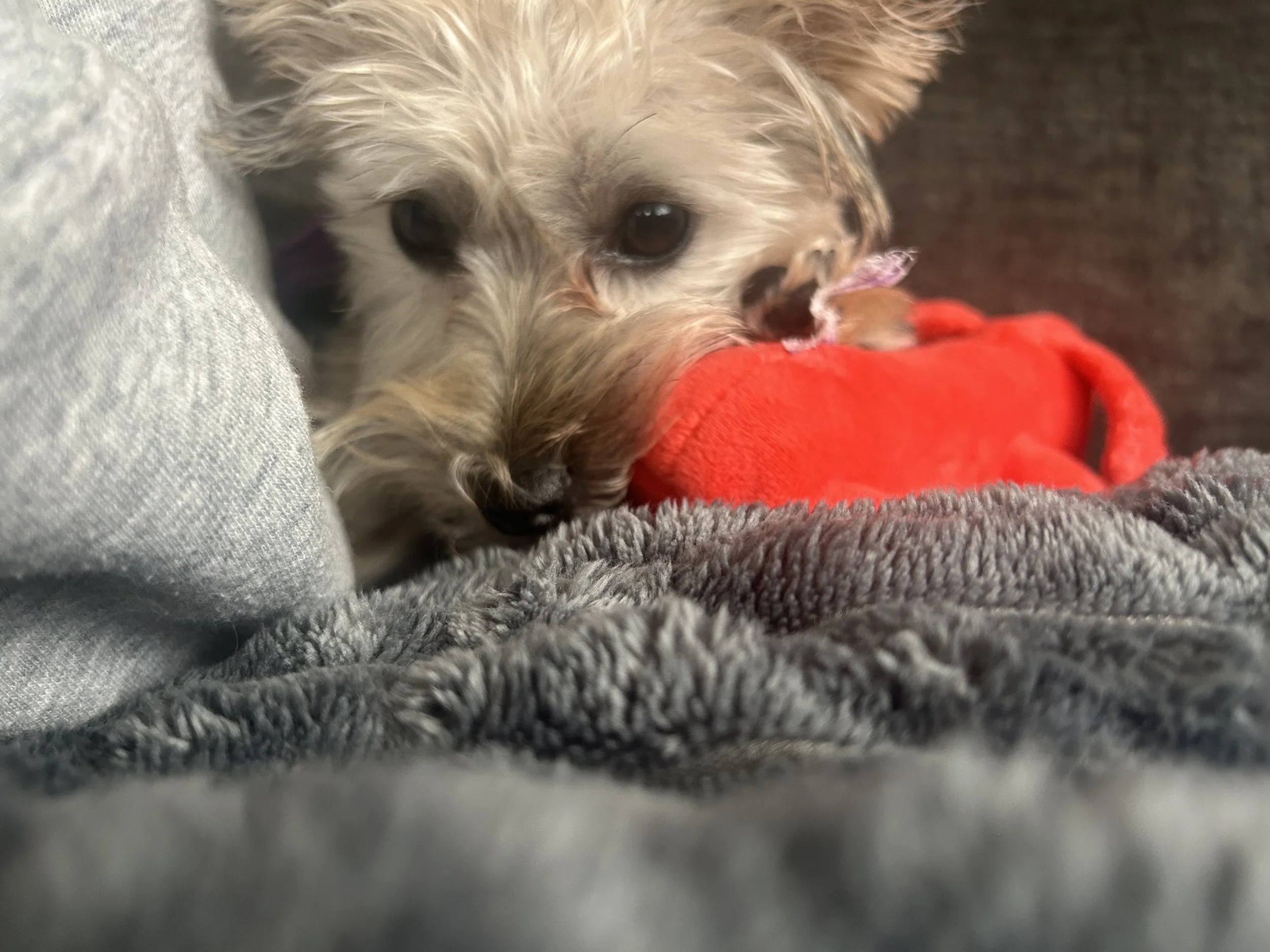 Milli is such a special part of our family.