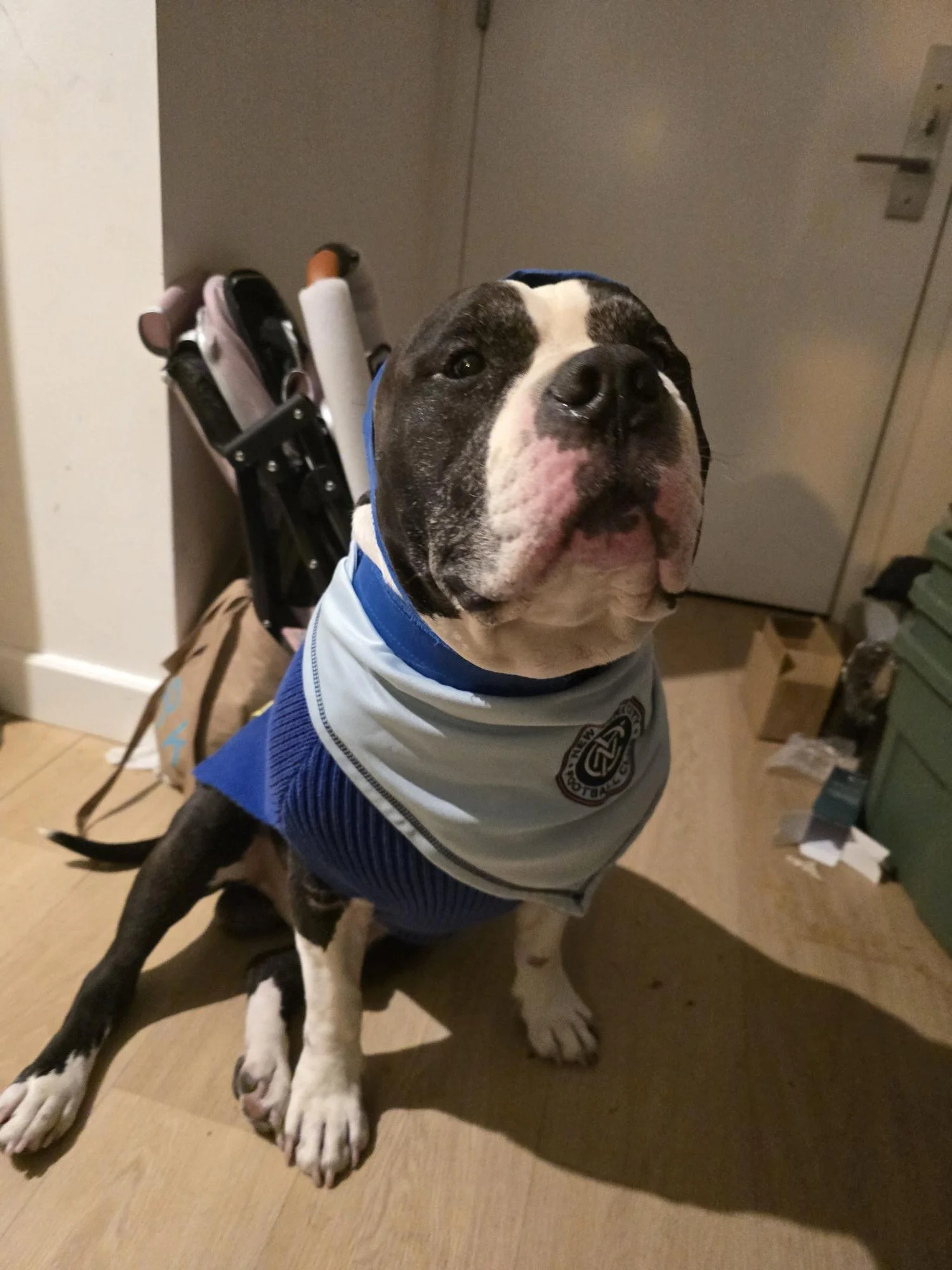 I would like to sincerely thank you for allowing my Service Dog, Charlie to have this much-needed surgery.
