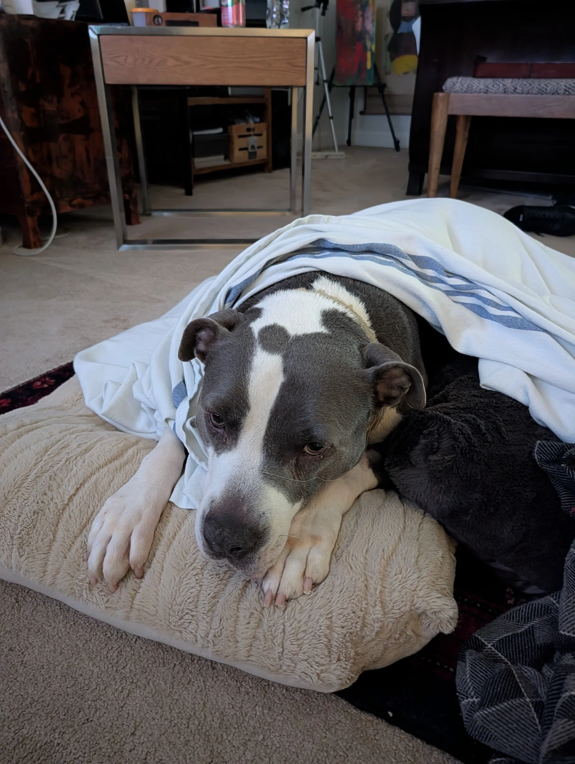We really want to thank you for your assistance with Dozier in his time of need.