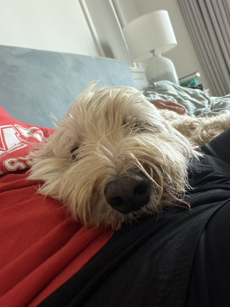In Loving Memory of Duncan