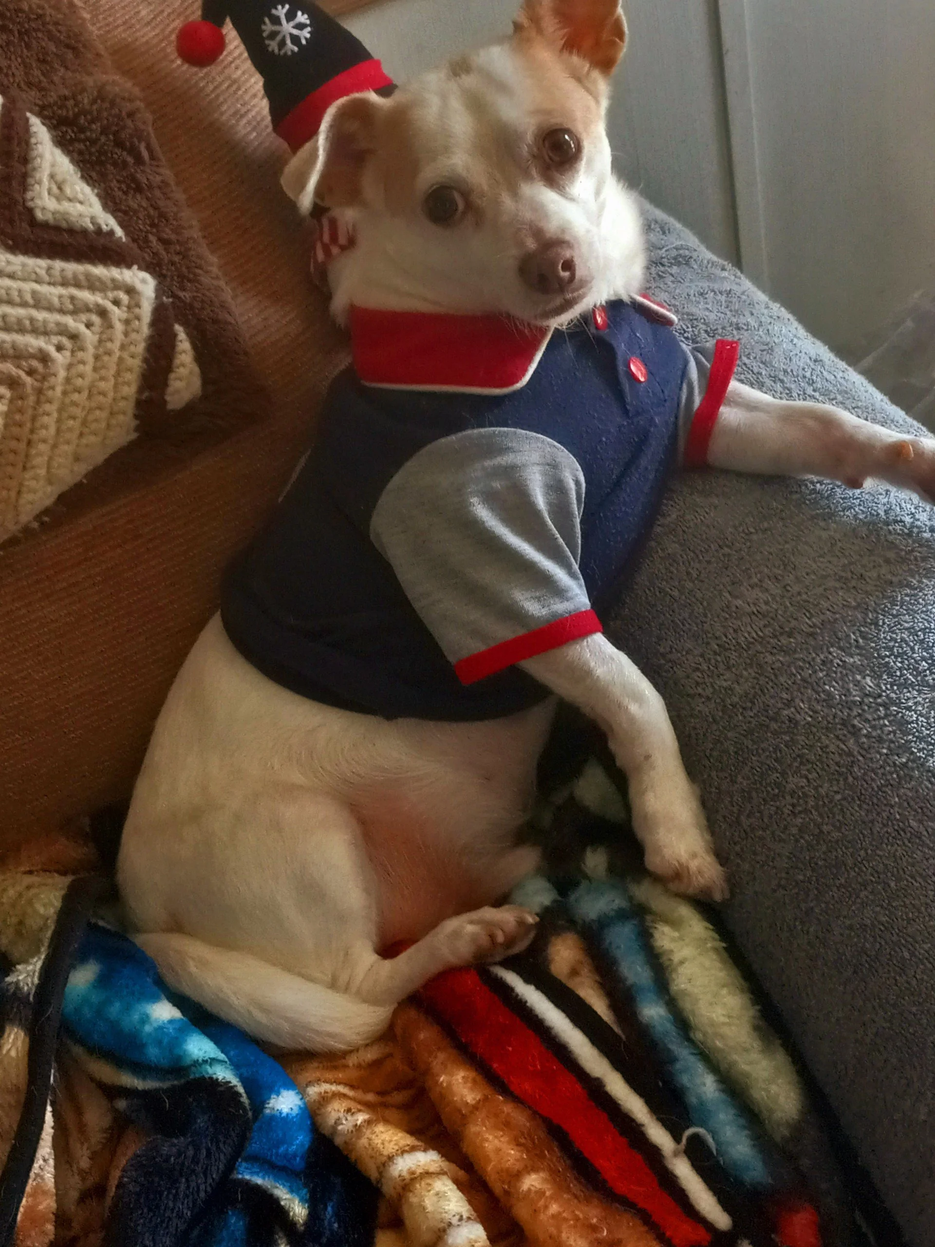 Zoe is not just my dog—she is my lifeline.