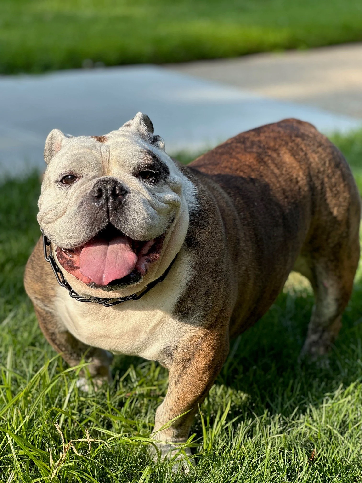 On behalf of myself and especially Mugzy I would like to thank the donors.
