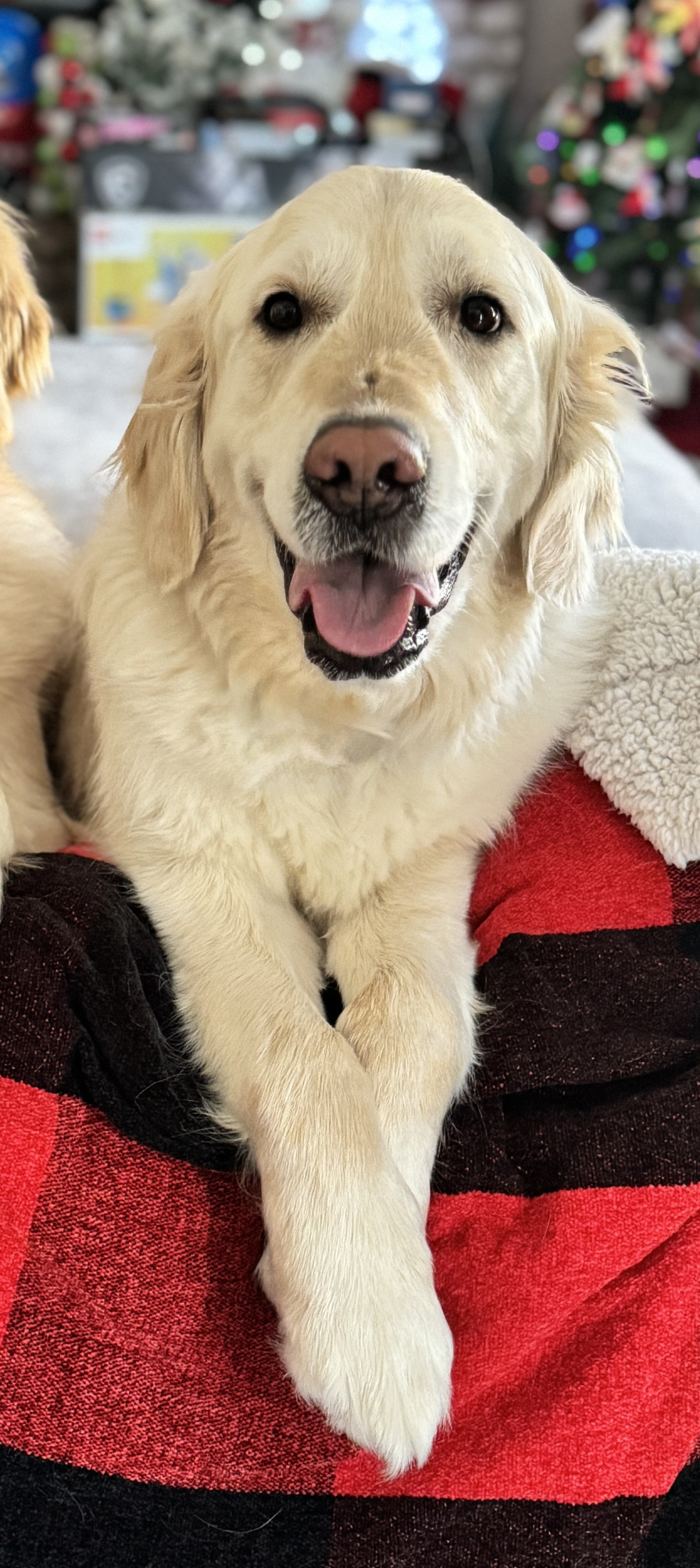 Thank you for helping Tucker.