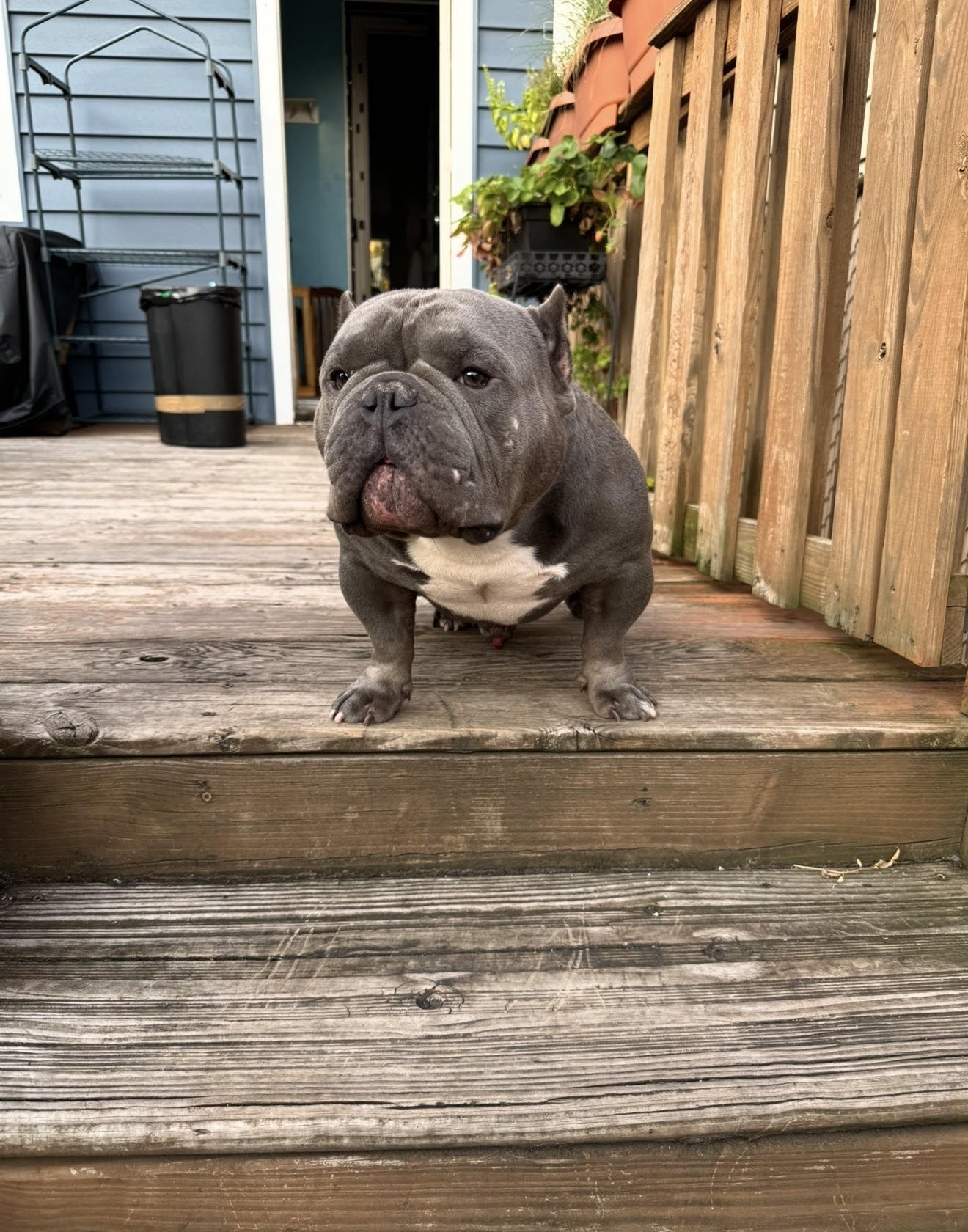 Thank you for helping Jugo.
