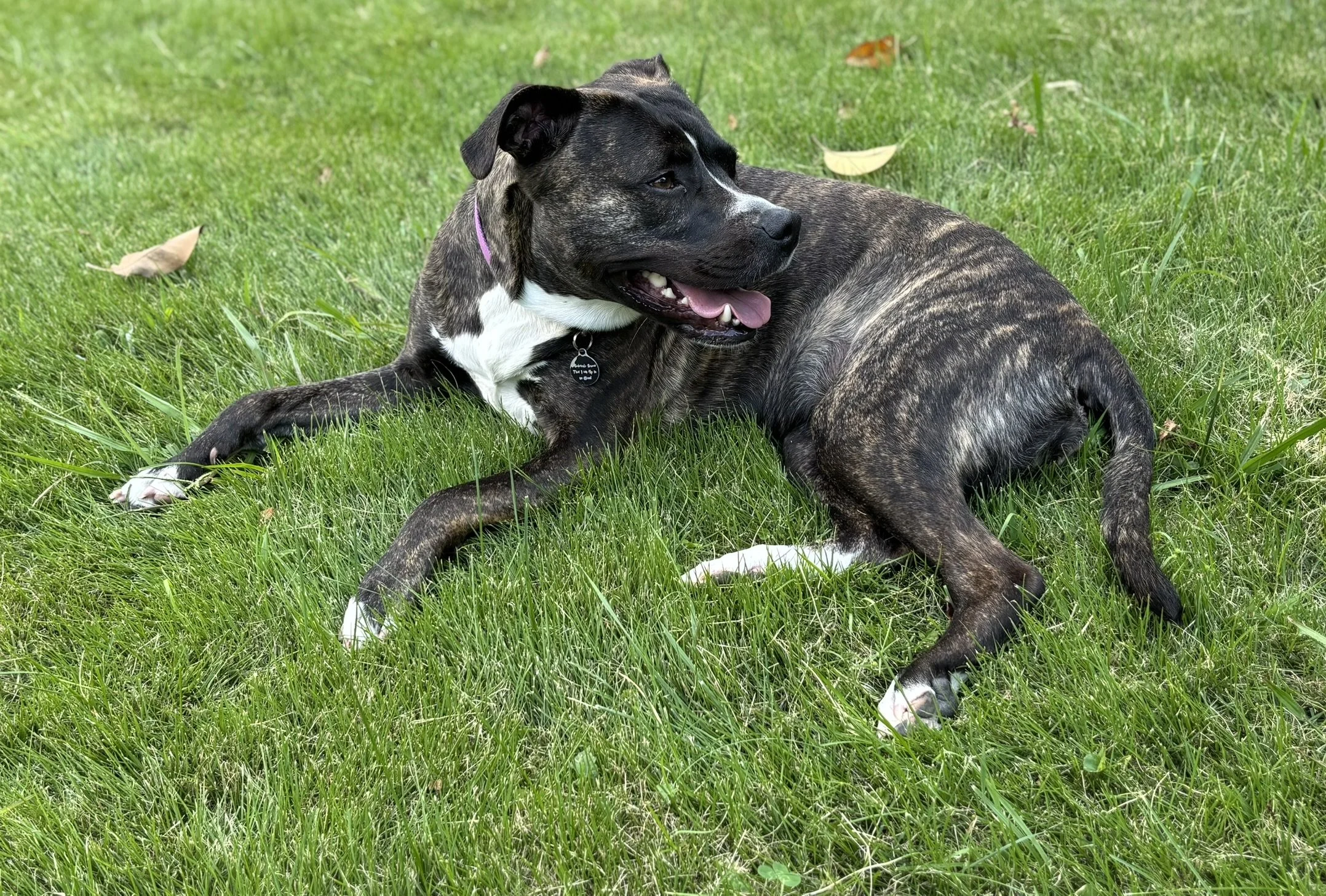 Thank you for helping Arya walk without pain.