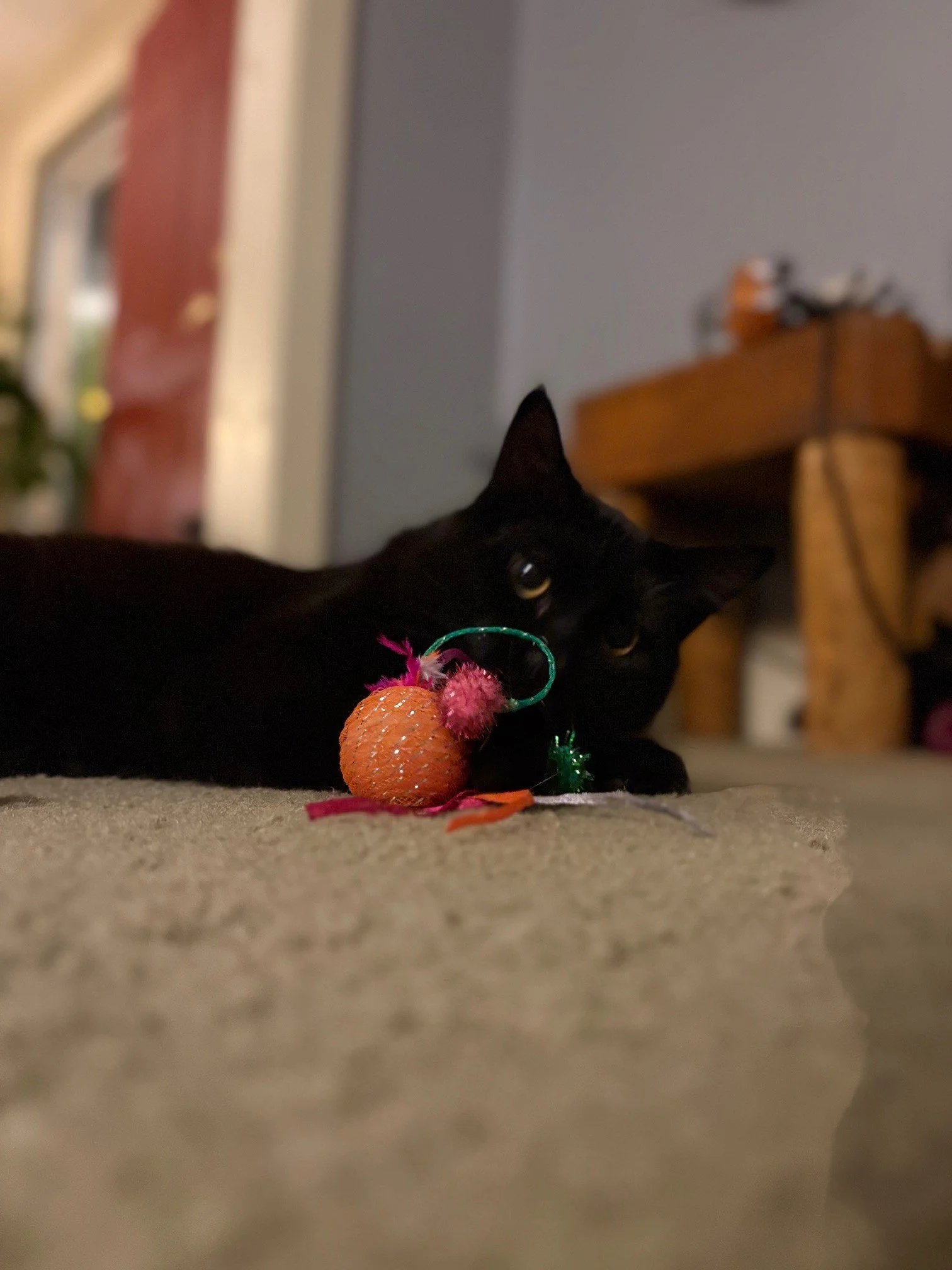 Oswald is not just a pet.