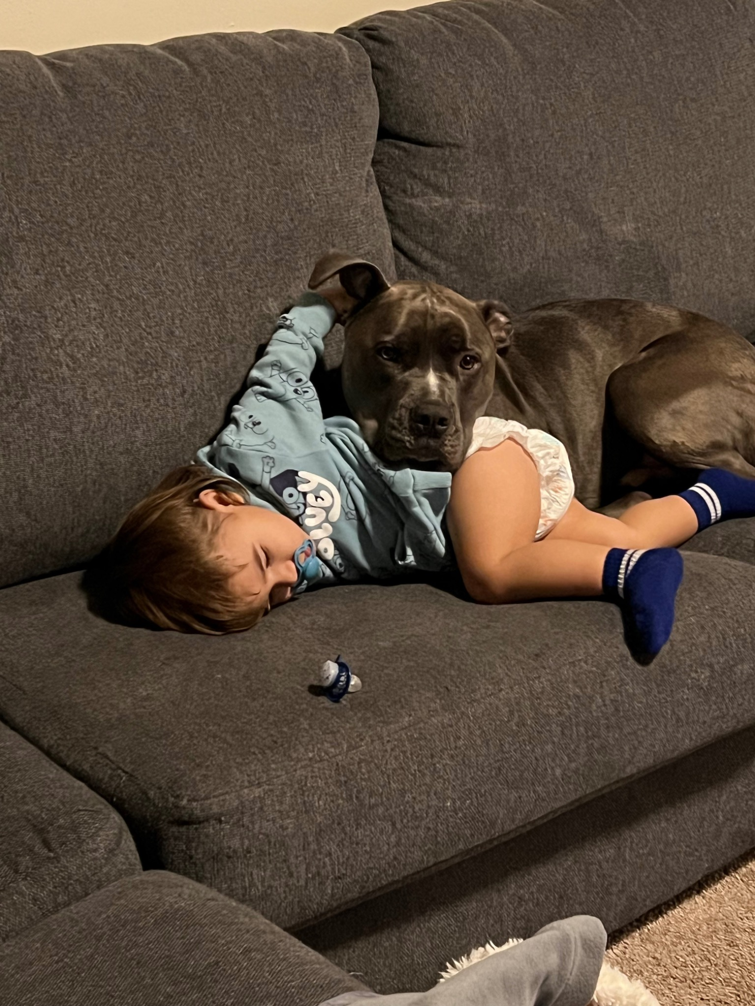 Zeus is deeply loved, and we are not ready to imagine life without him. 