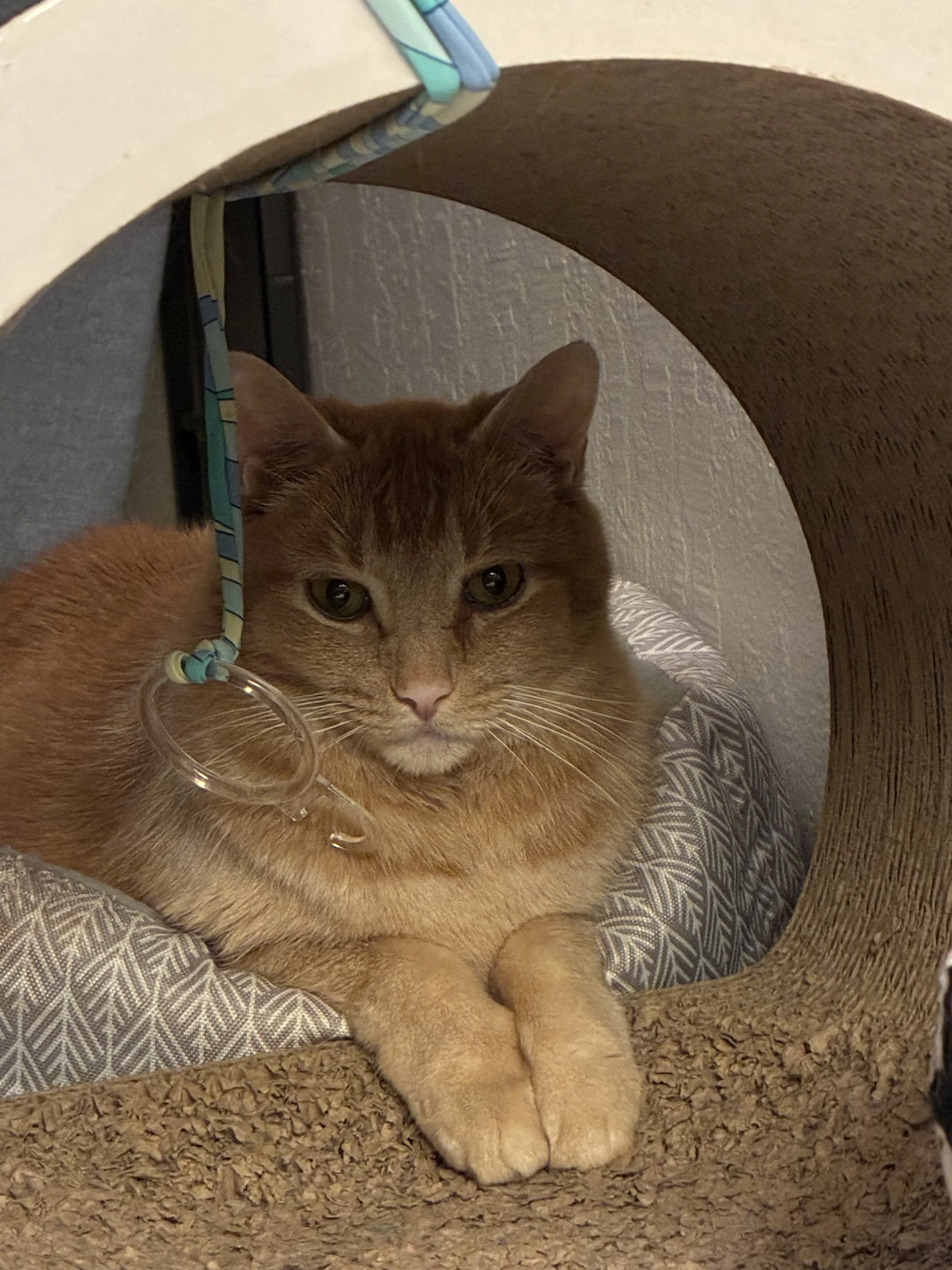 Butter and I want to thank you for being so generous and thoughtful of our urgent situation. 