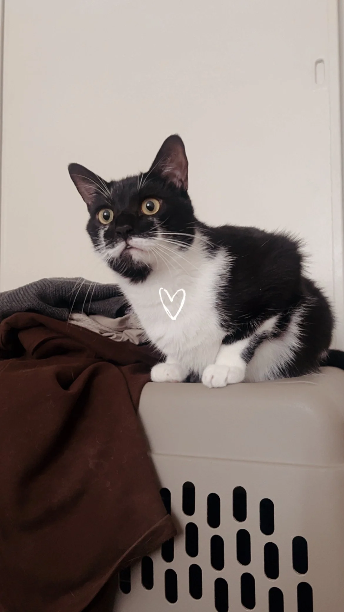 Your kindness and support have given Nazareth a second chance at a happy, pain-free life.