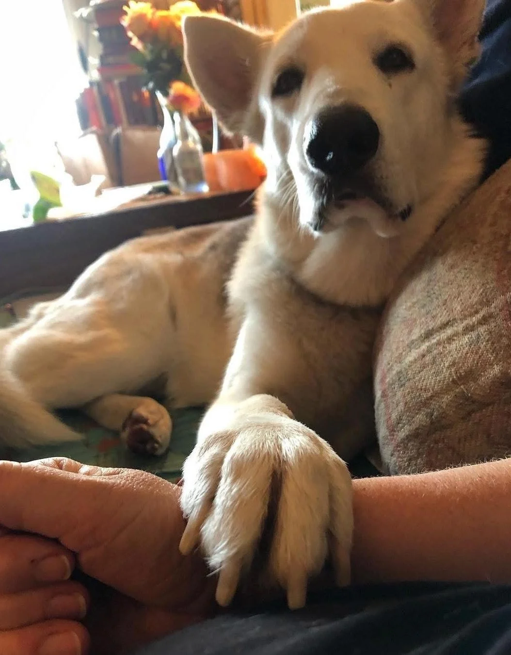 Thank you for helping Nanuk.