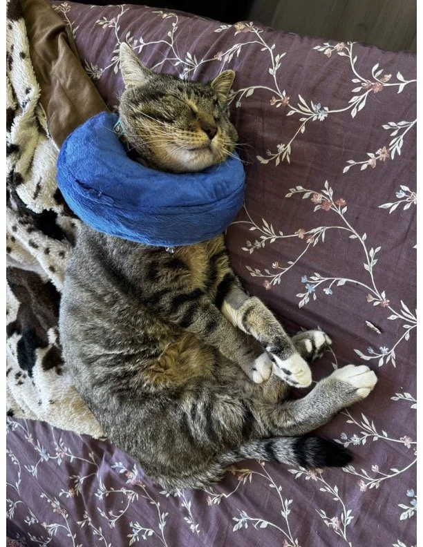 I cannot express what this support means to me and Tuna. 