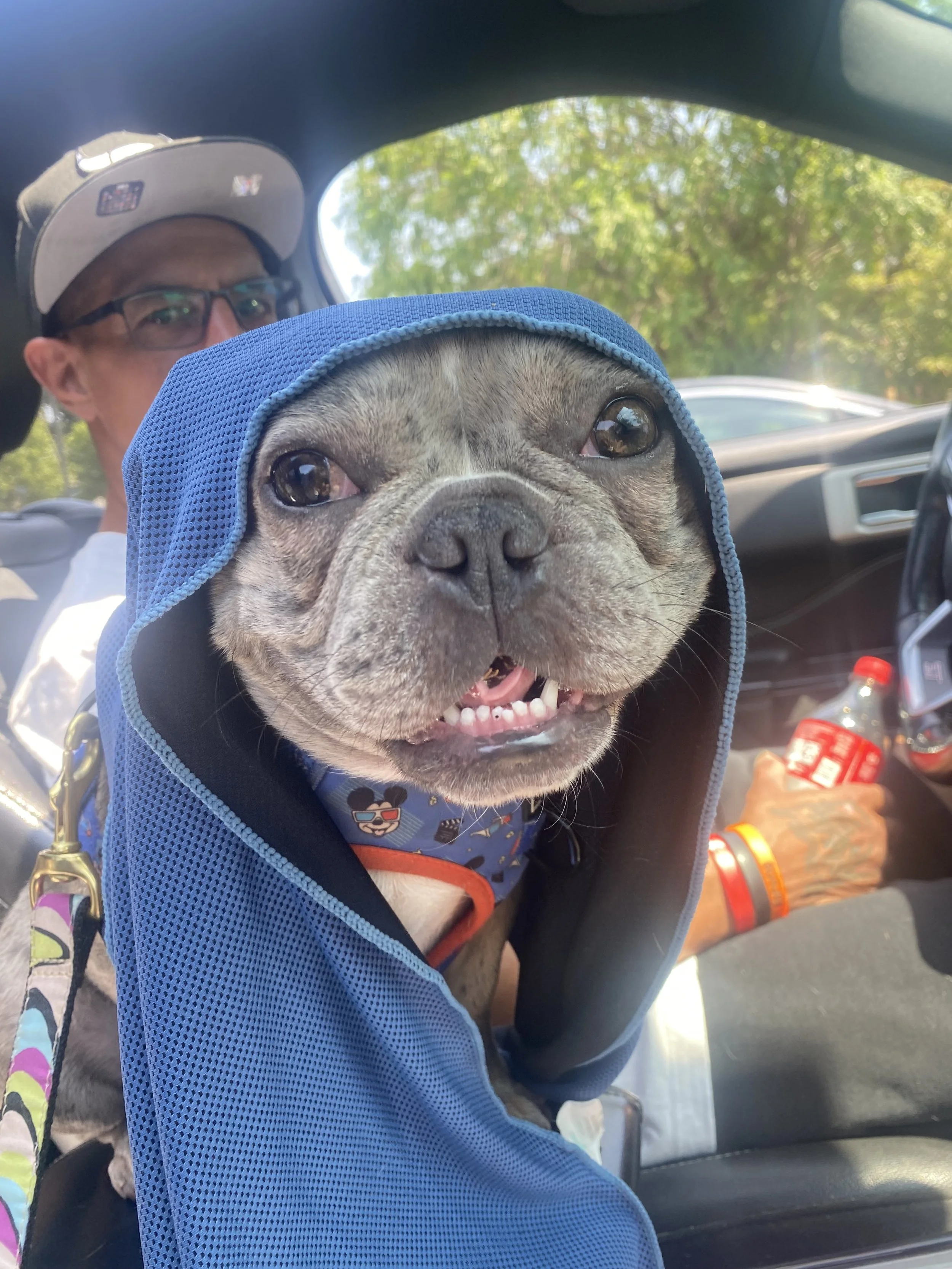 Nani is back to her playful, snorty self thanks to you.