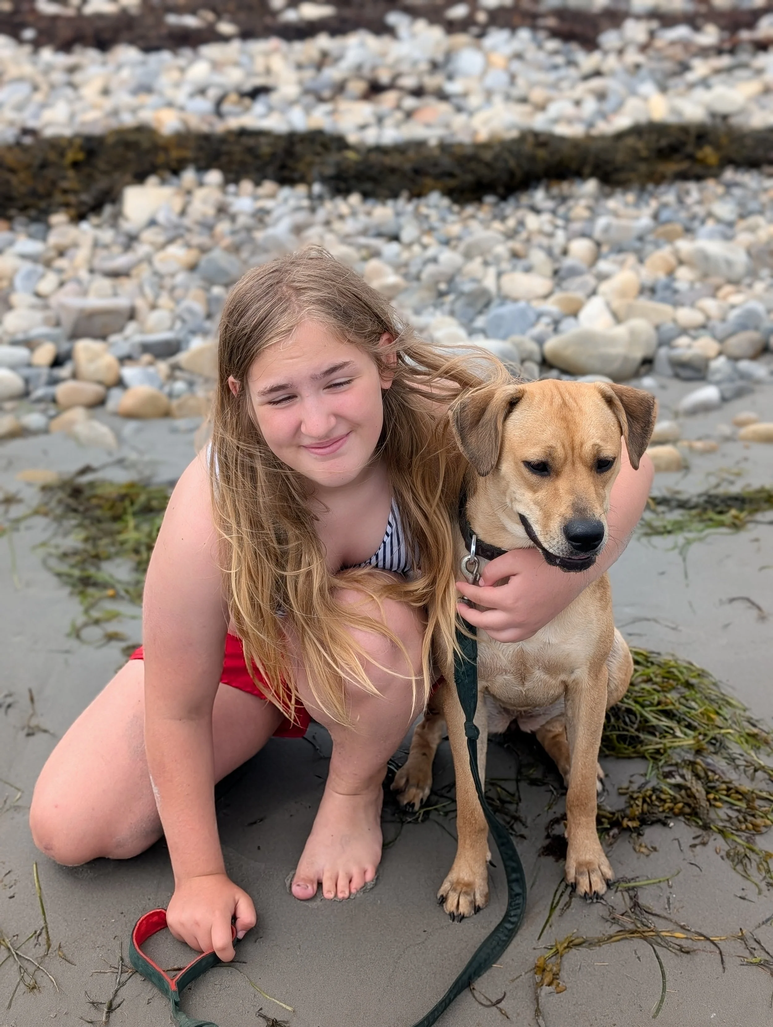 Rosie has brought us so much life to our family.