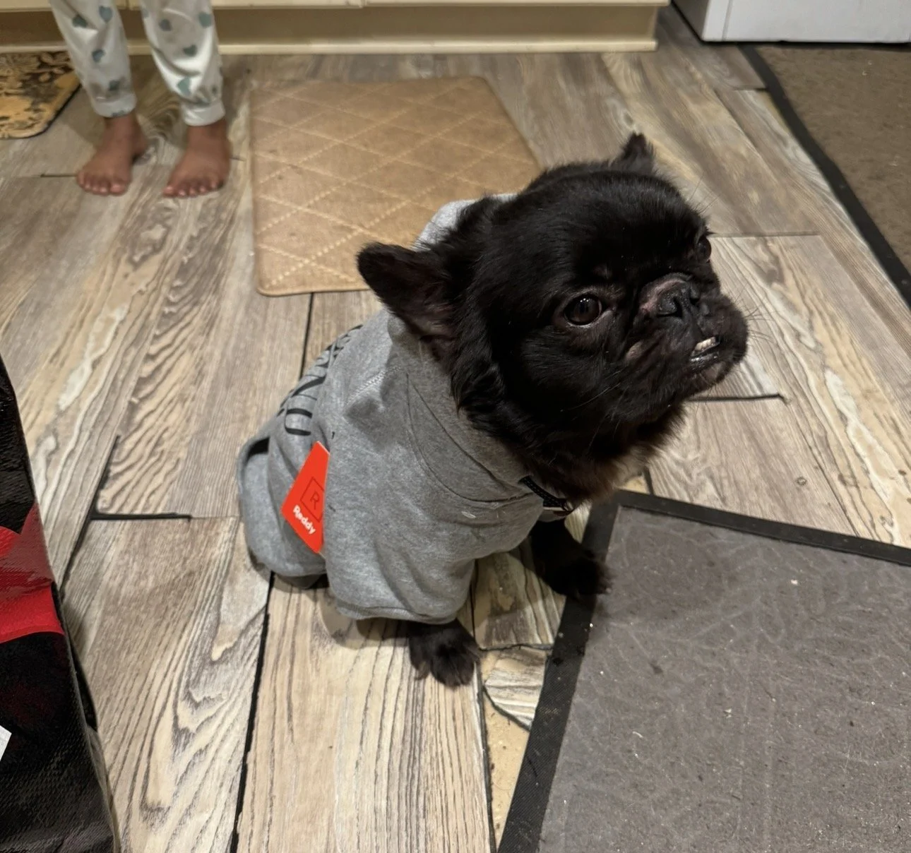 Thank you for helping Brave!
