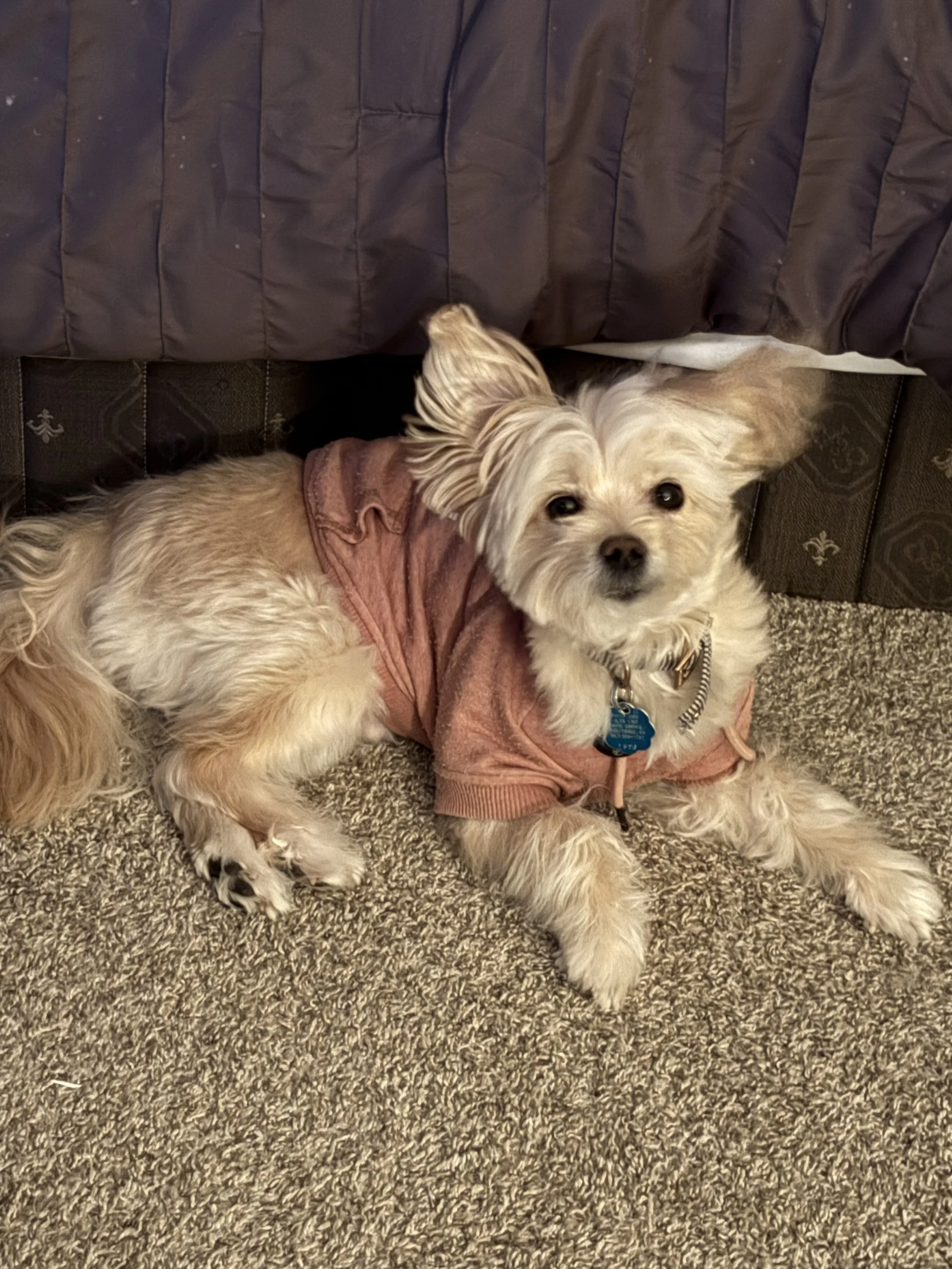 When we learned that Benji needed surgery, we were overwhelmed with worry