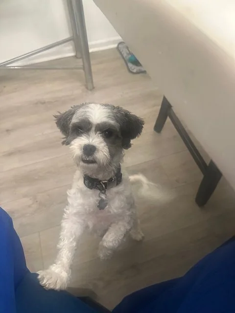 Thank you for helping save Kona!