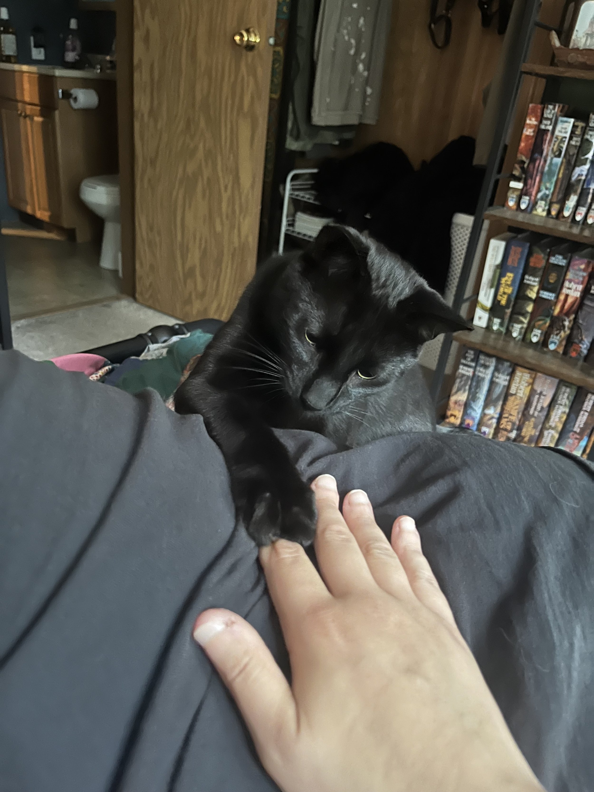 IMG_1484.jpeg