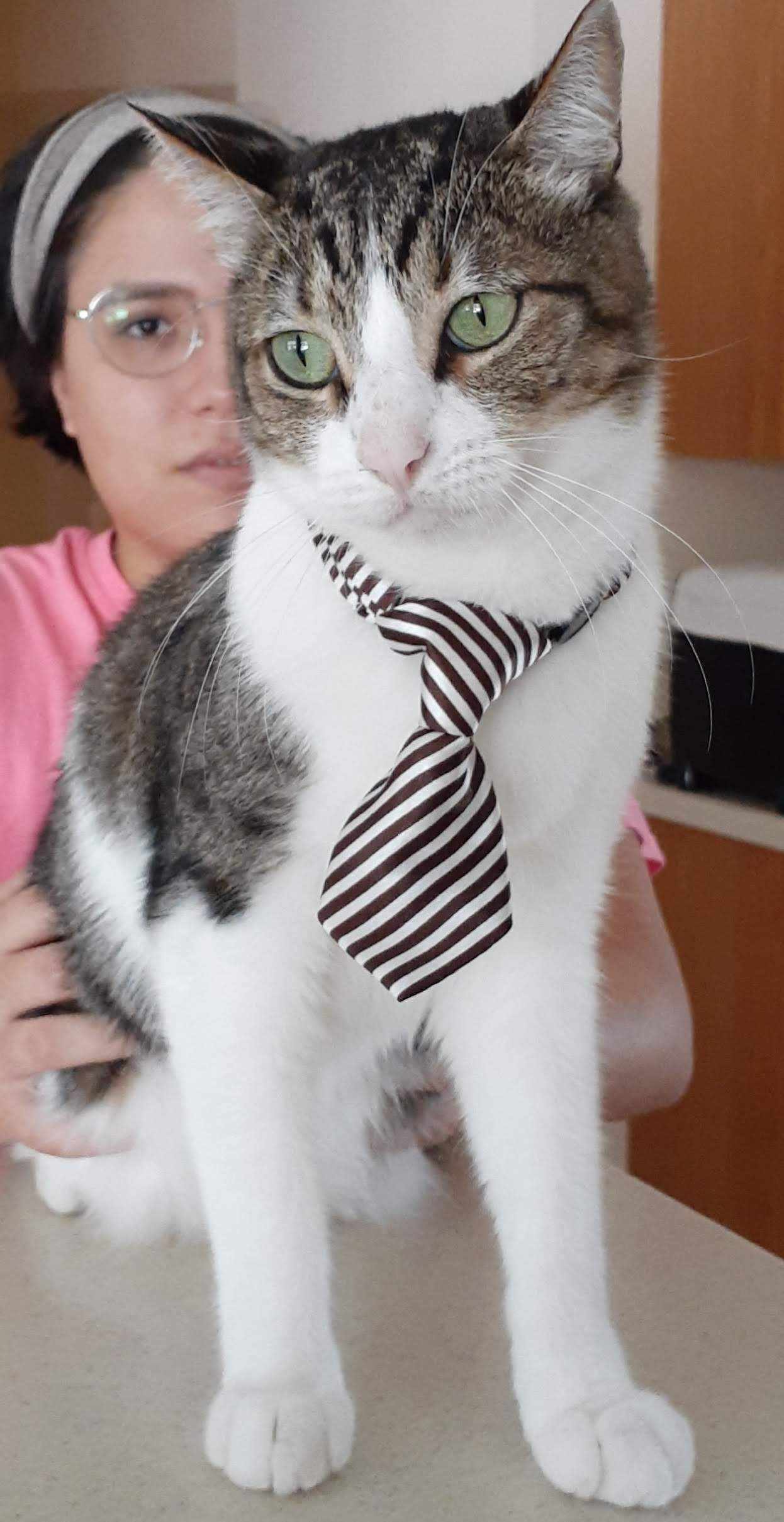 Ezra is a good boy.