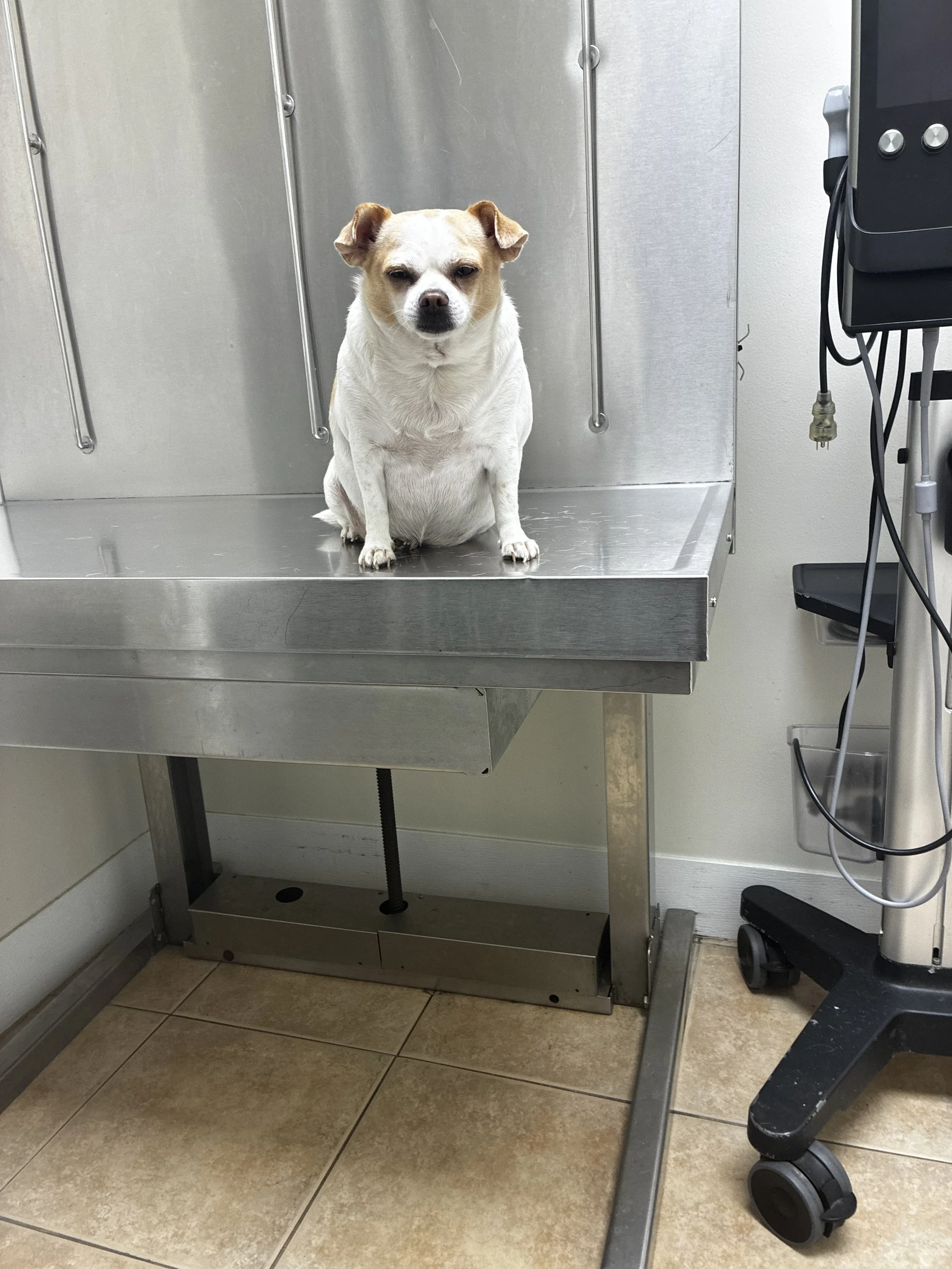 Thank you for helping Canela and her family.