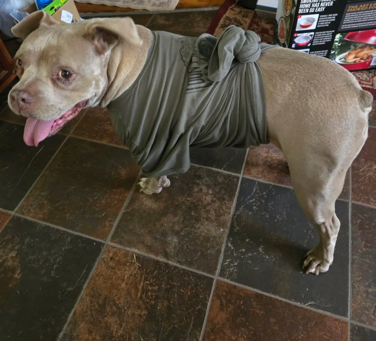 Thank you for helping save Tori!