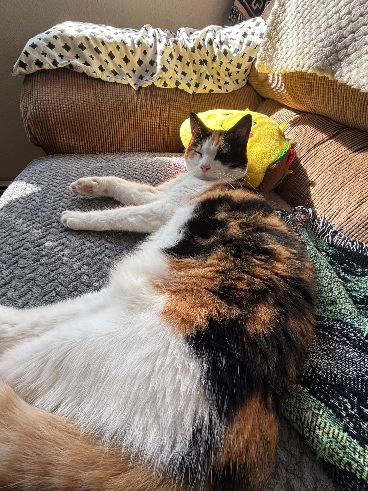 I am absolutely so grateful for any help for my baby girl Venus.