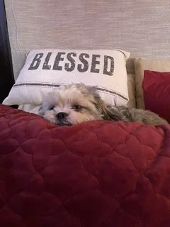 Daisy is a big part of my family