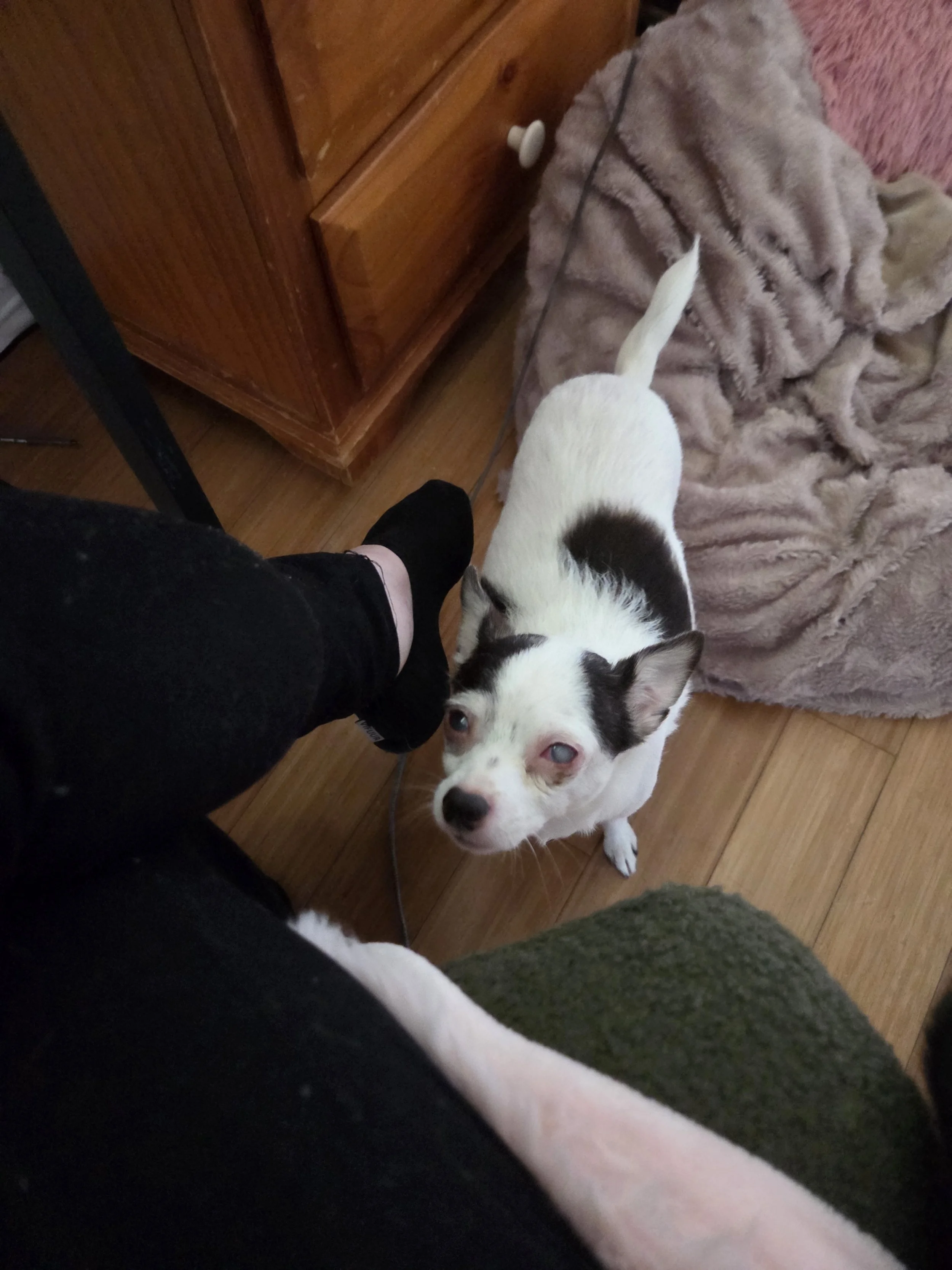 Thank you for helping Daisy Sue.