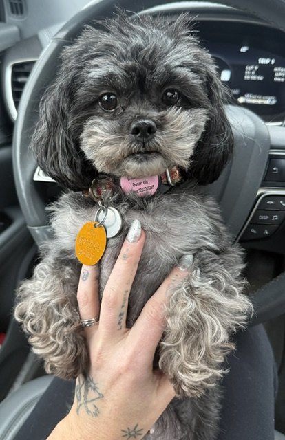 Thank you for helping Bella live pain free.