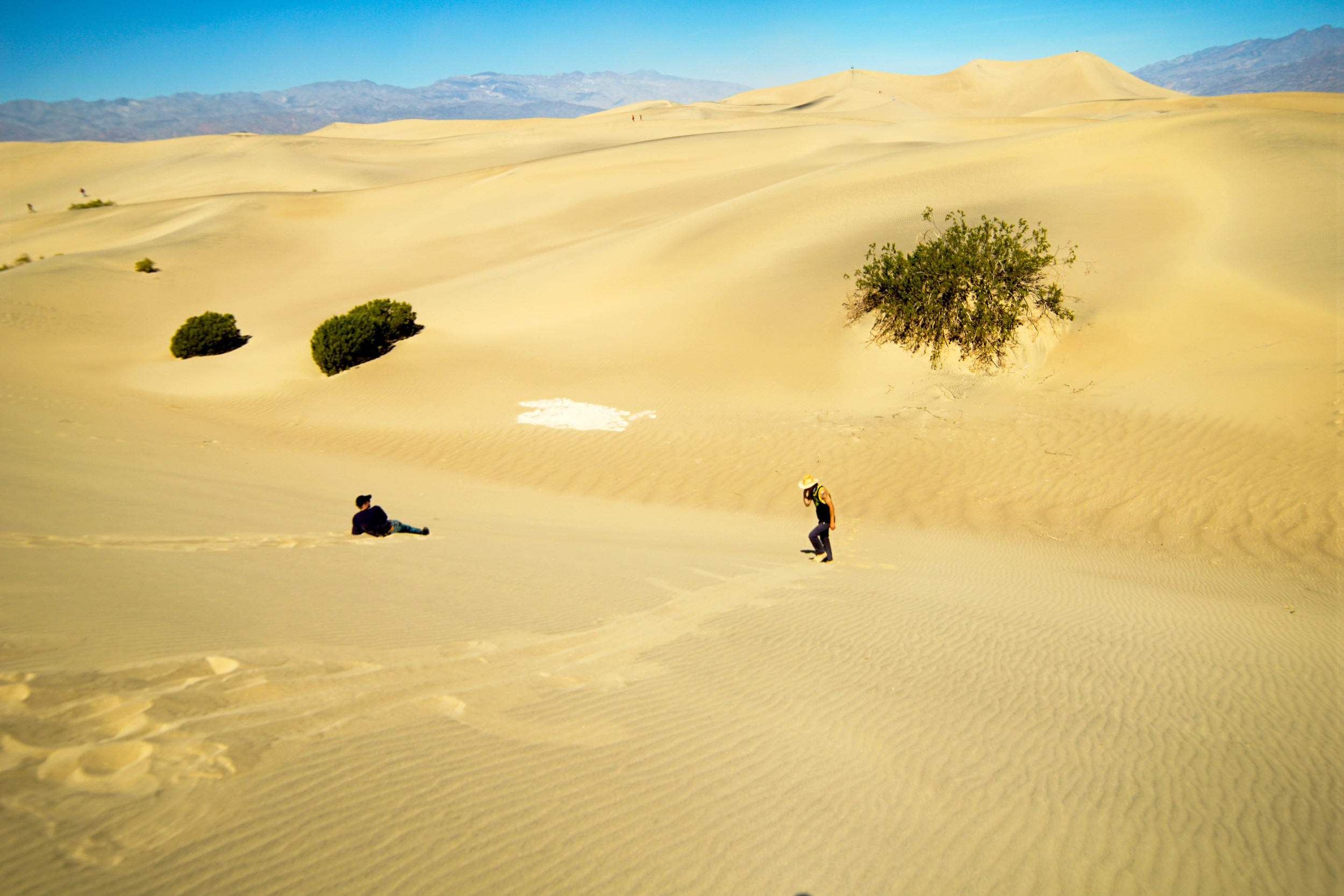 Desert Daze