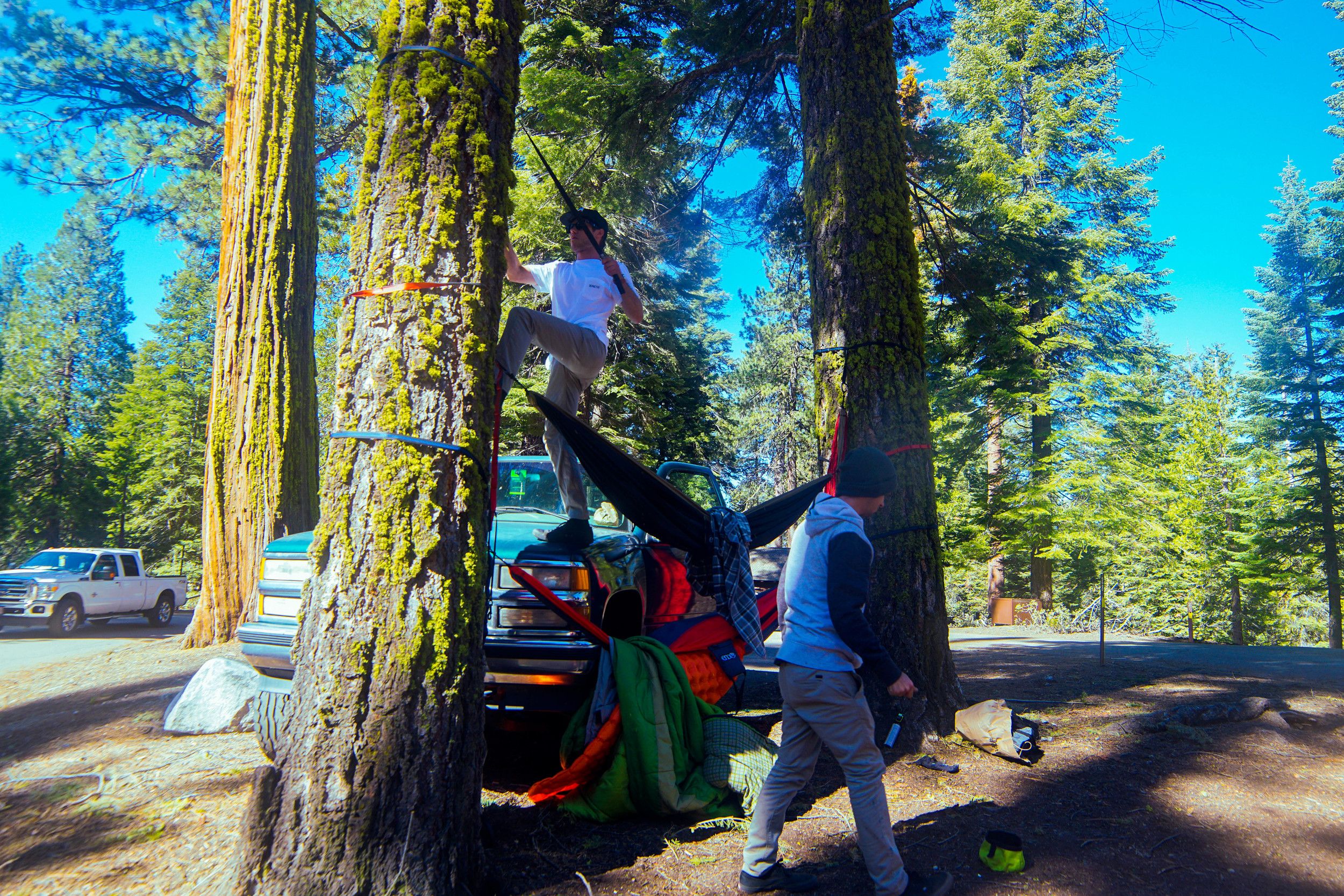 Setting up the hammocks