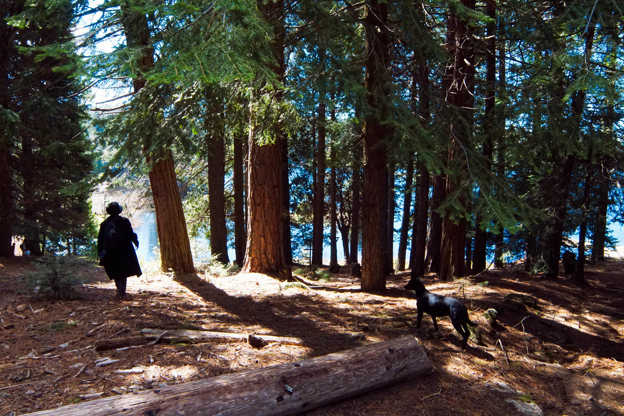 Sneaking back with man's best friend