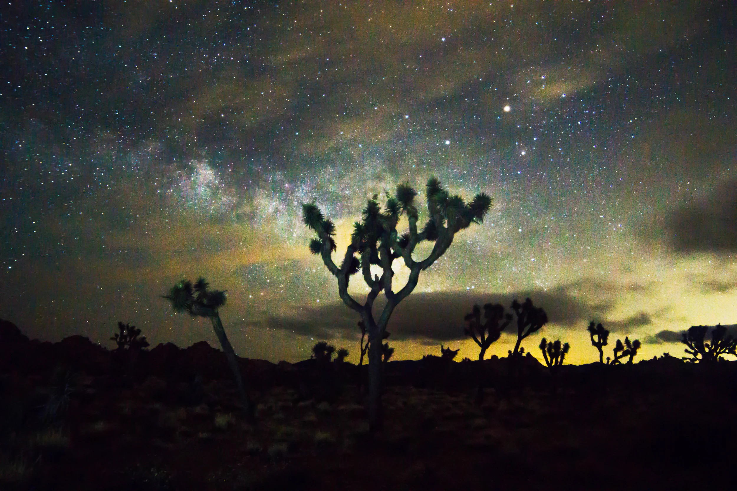 Land of Milky Way and Honey