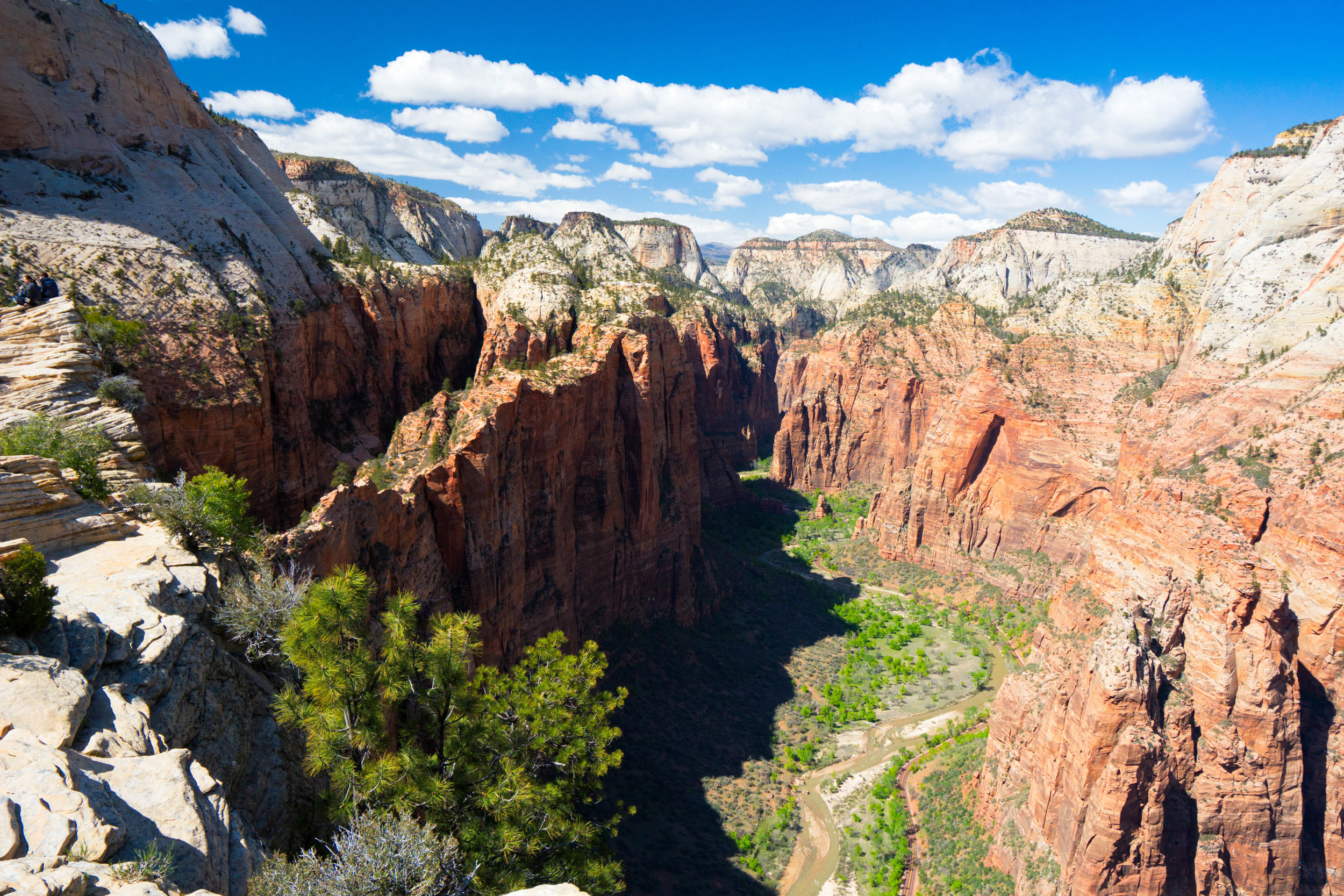 The view nobody acknowledges from Angel's Landing....their loss