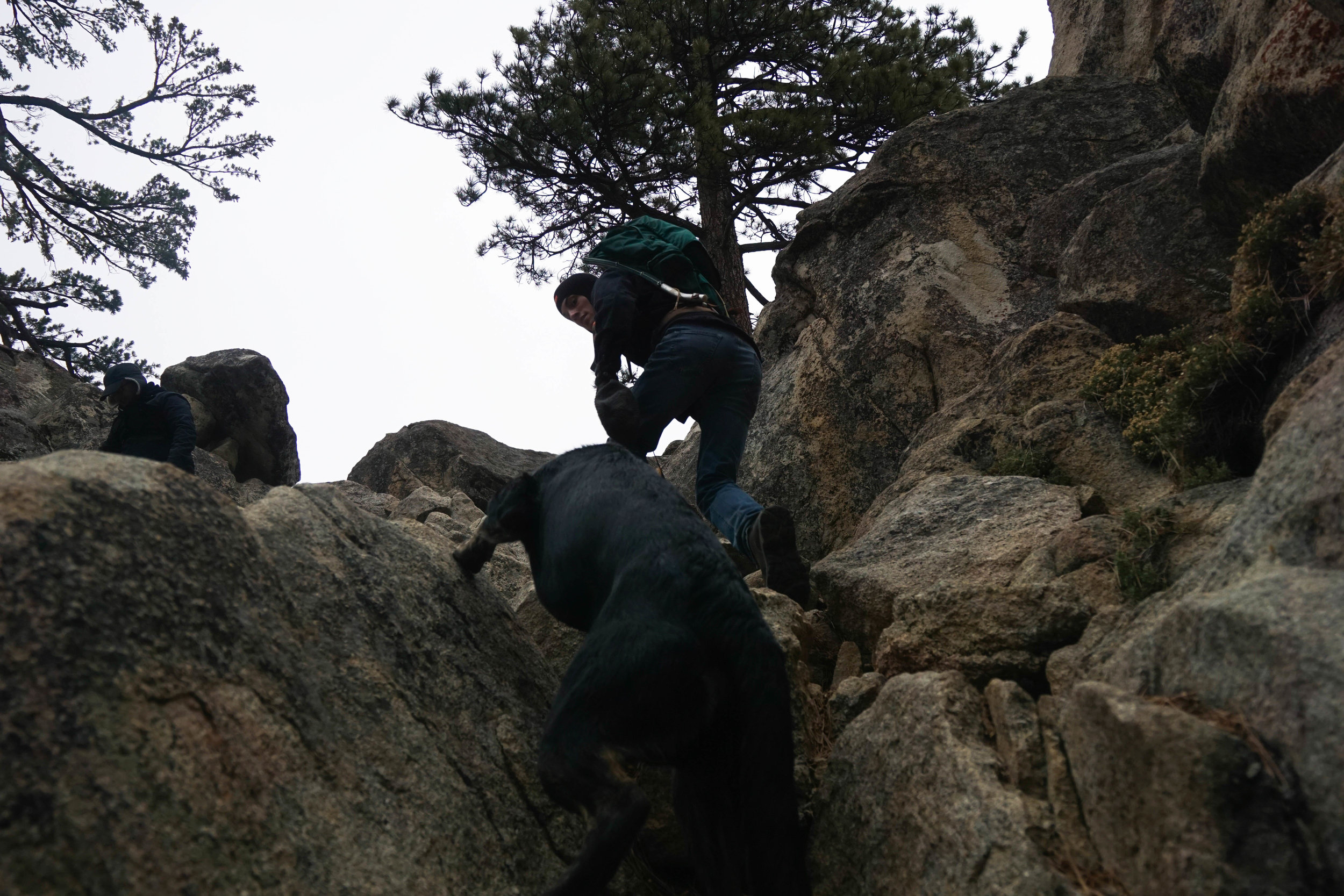 Without thumbs, climbing up Castle Rock proves to be a little harder for our furry friend. With a lil' push even Zero reached the pinnacle!