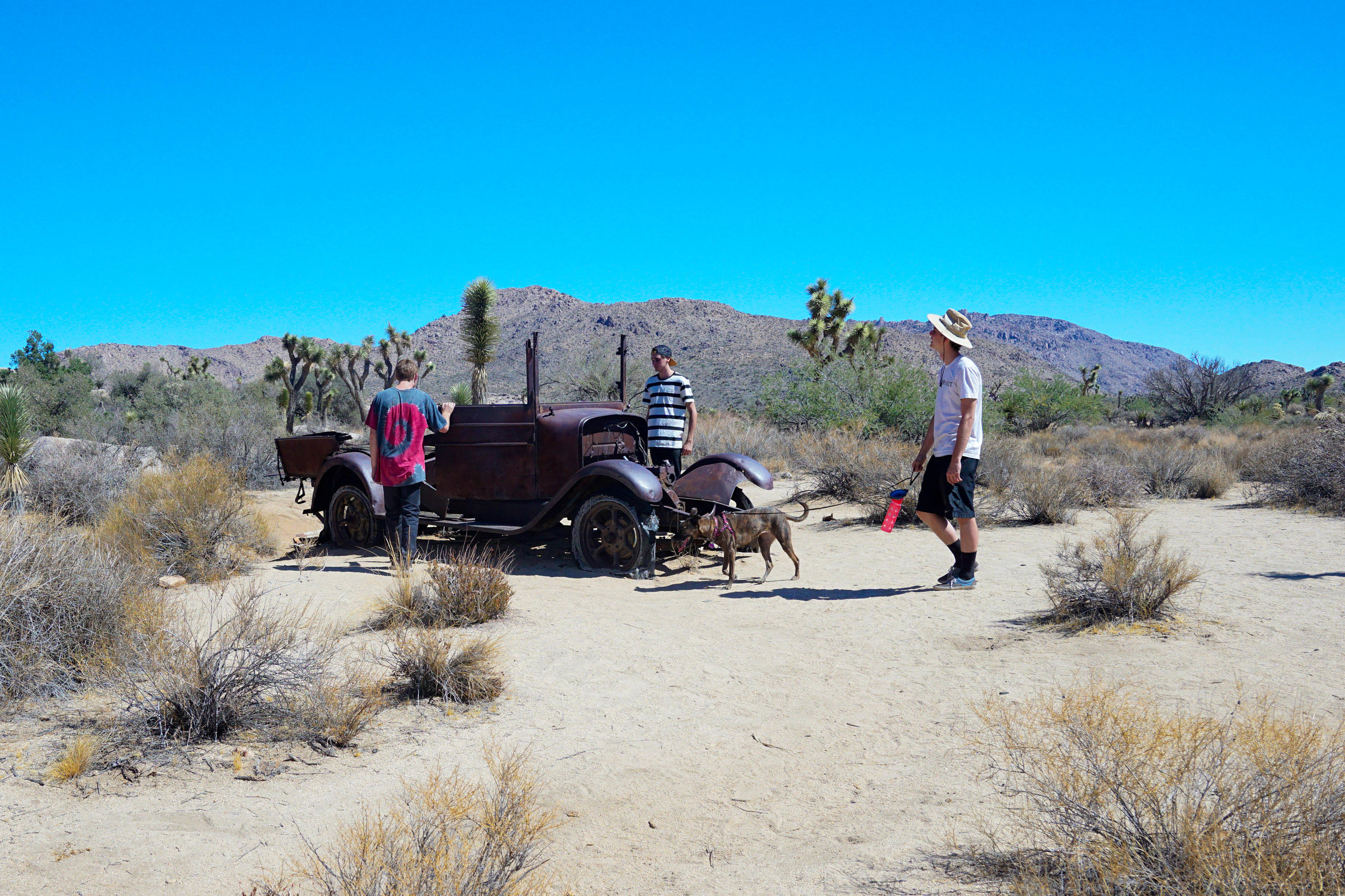 About a half mile from the homestead we stumble across this abandoned car, coated in decades of rust.