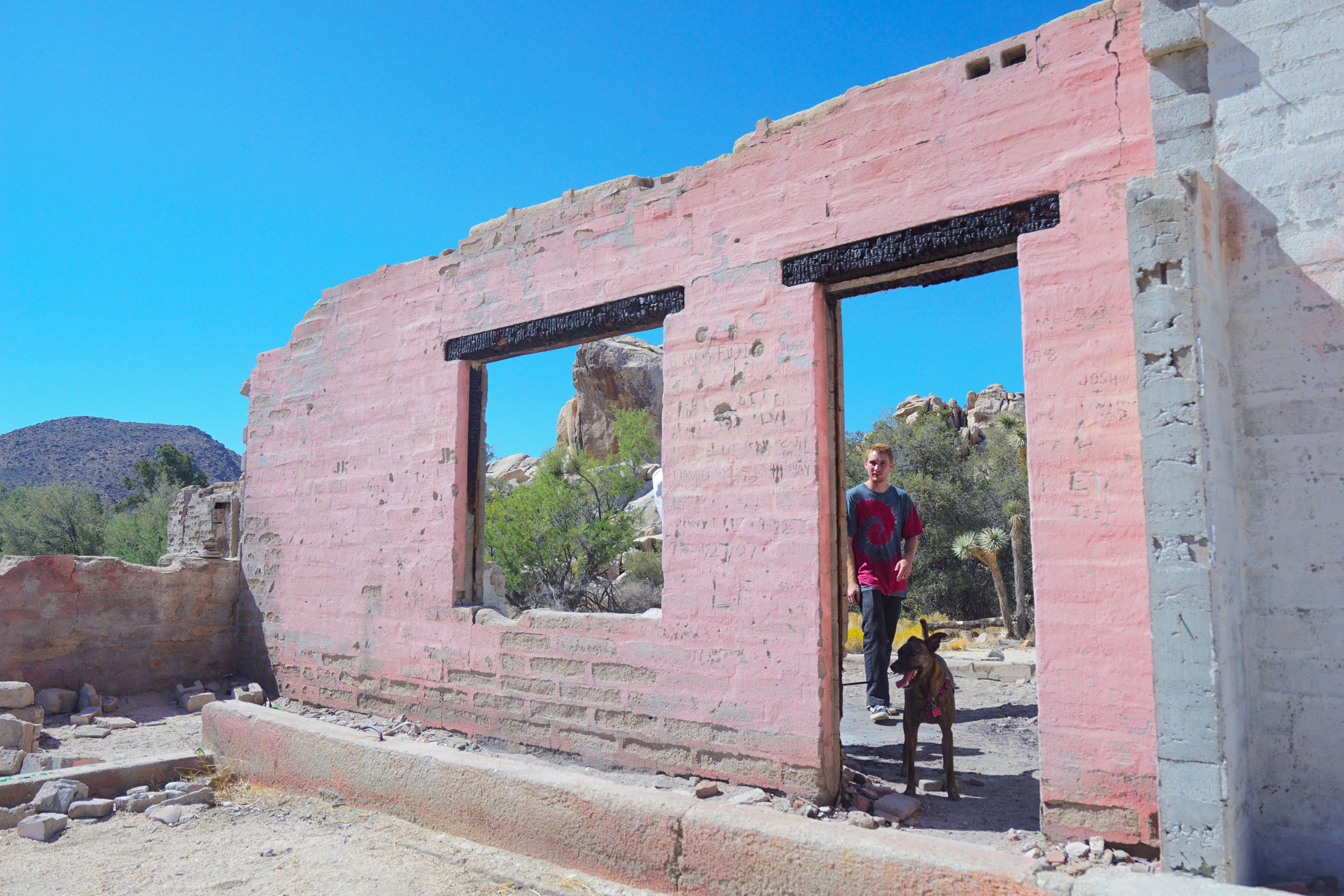 Our hike leads us to the ruins of an old homestead