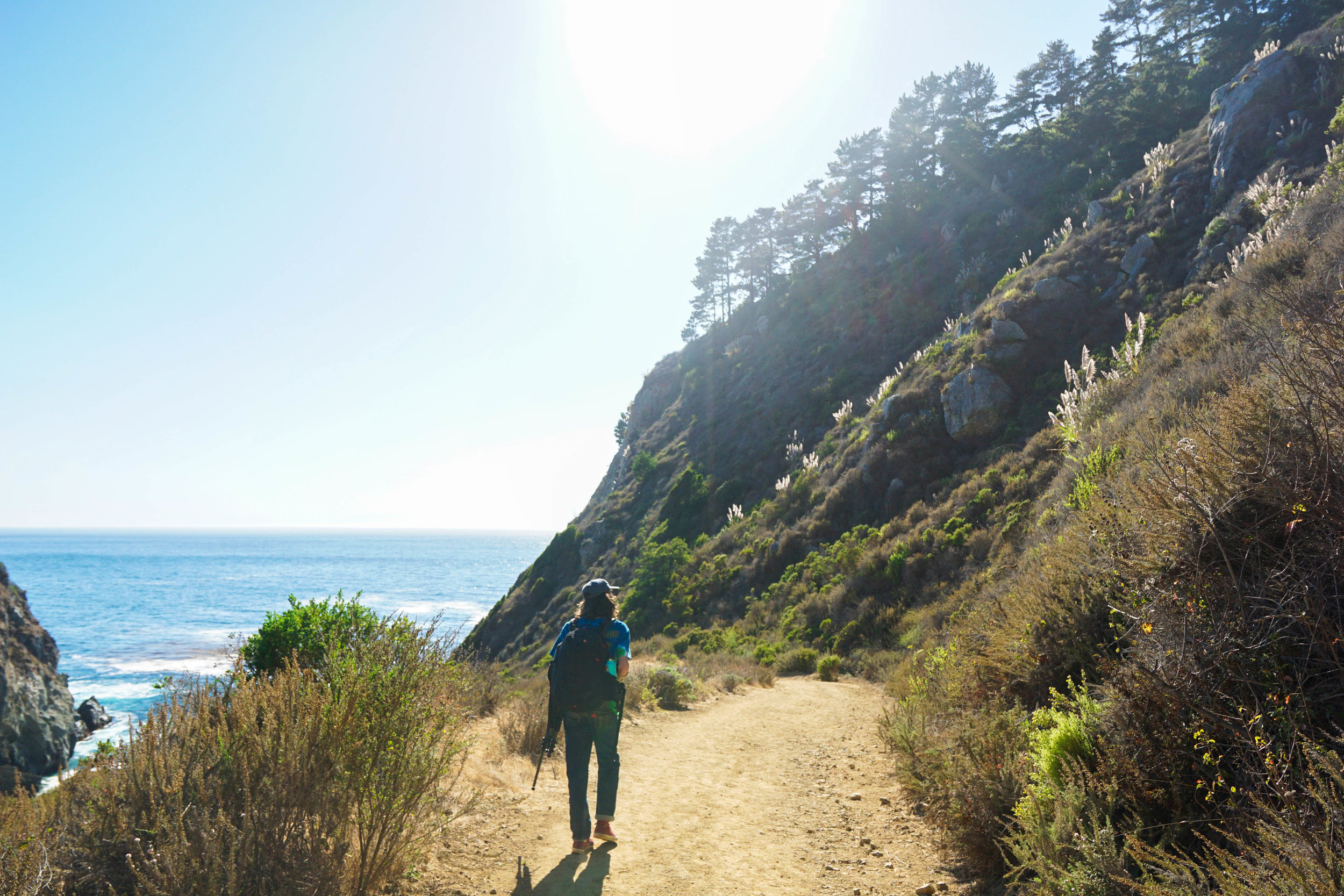 After leaving the forest, we find a new trail & head to a new segment of coastline.