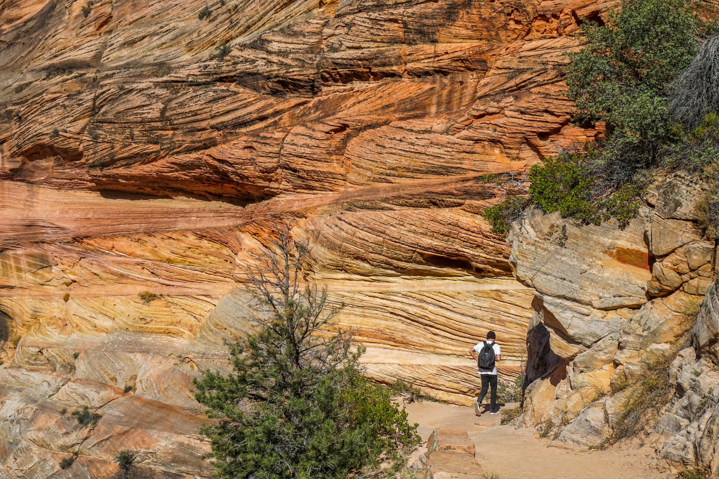 The textures & hues of the canyon are unparalleled.