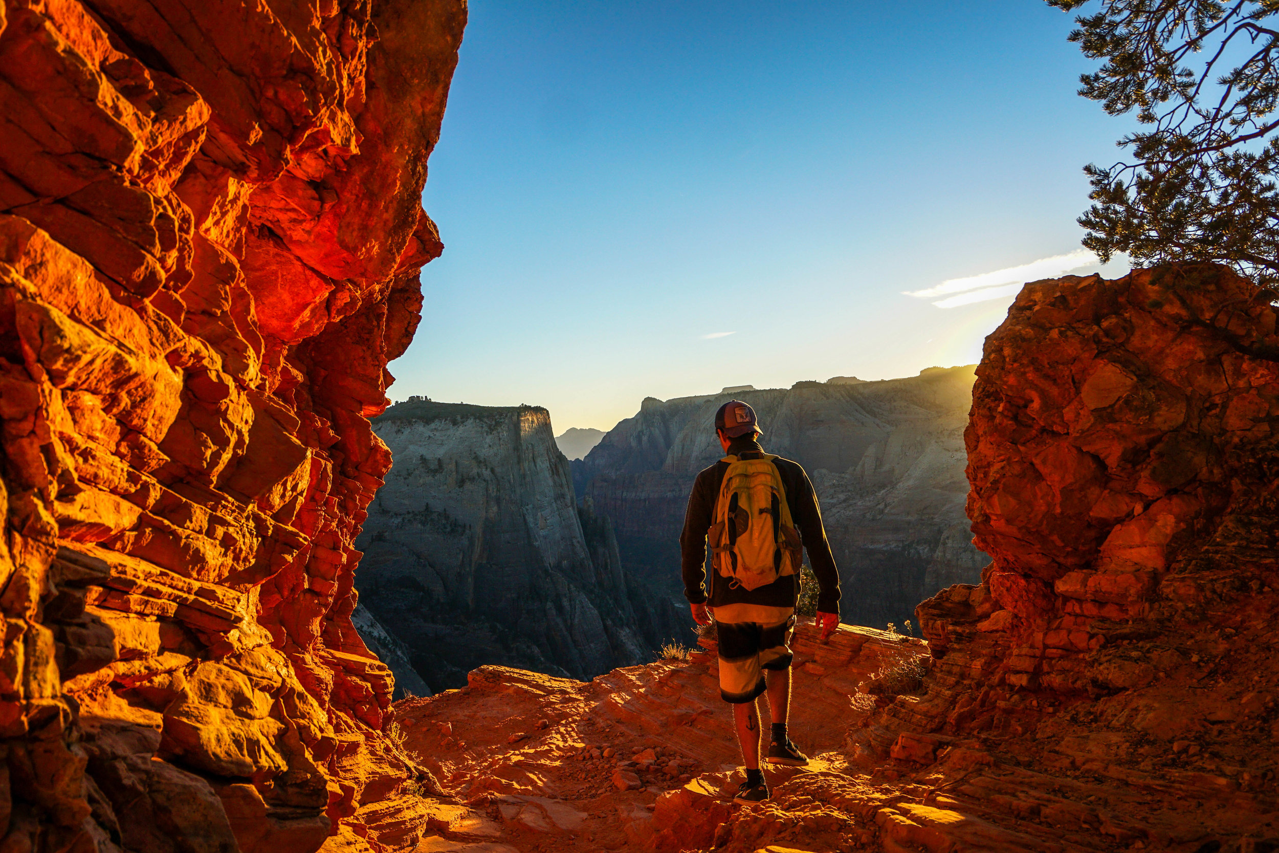 When the sun reaches just the right angle, the canyon walls radiate an immaculate glow.