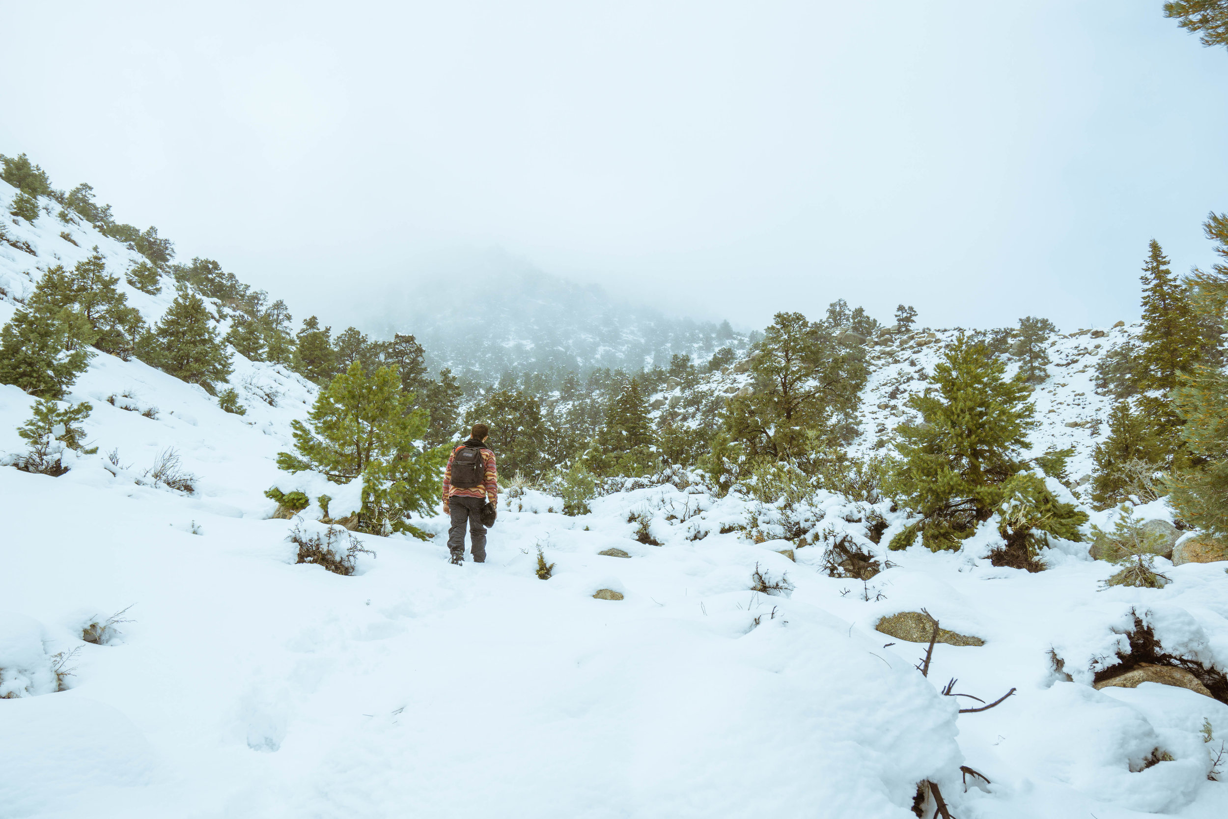 Devoid of snowshoes our movement is slow, but time passes blissfully amid the serene beauty of the Sierras.