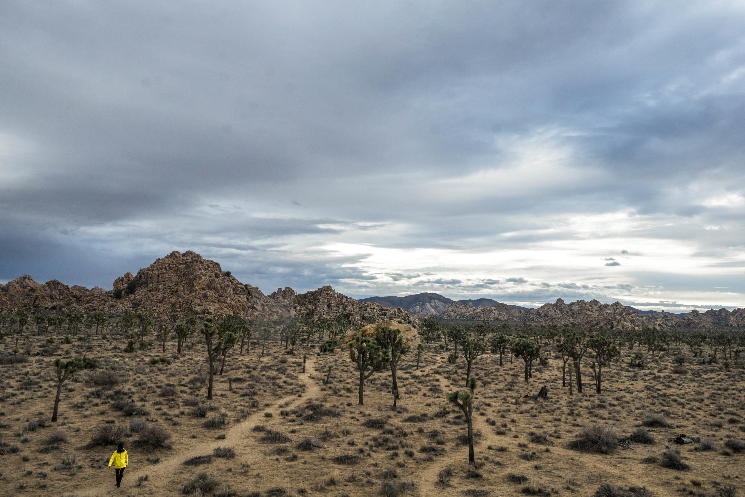 Before heading off to Barker Dam, we hike out to explore further off from camp. 