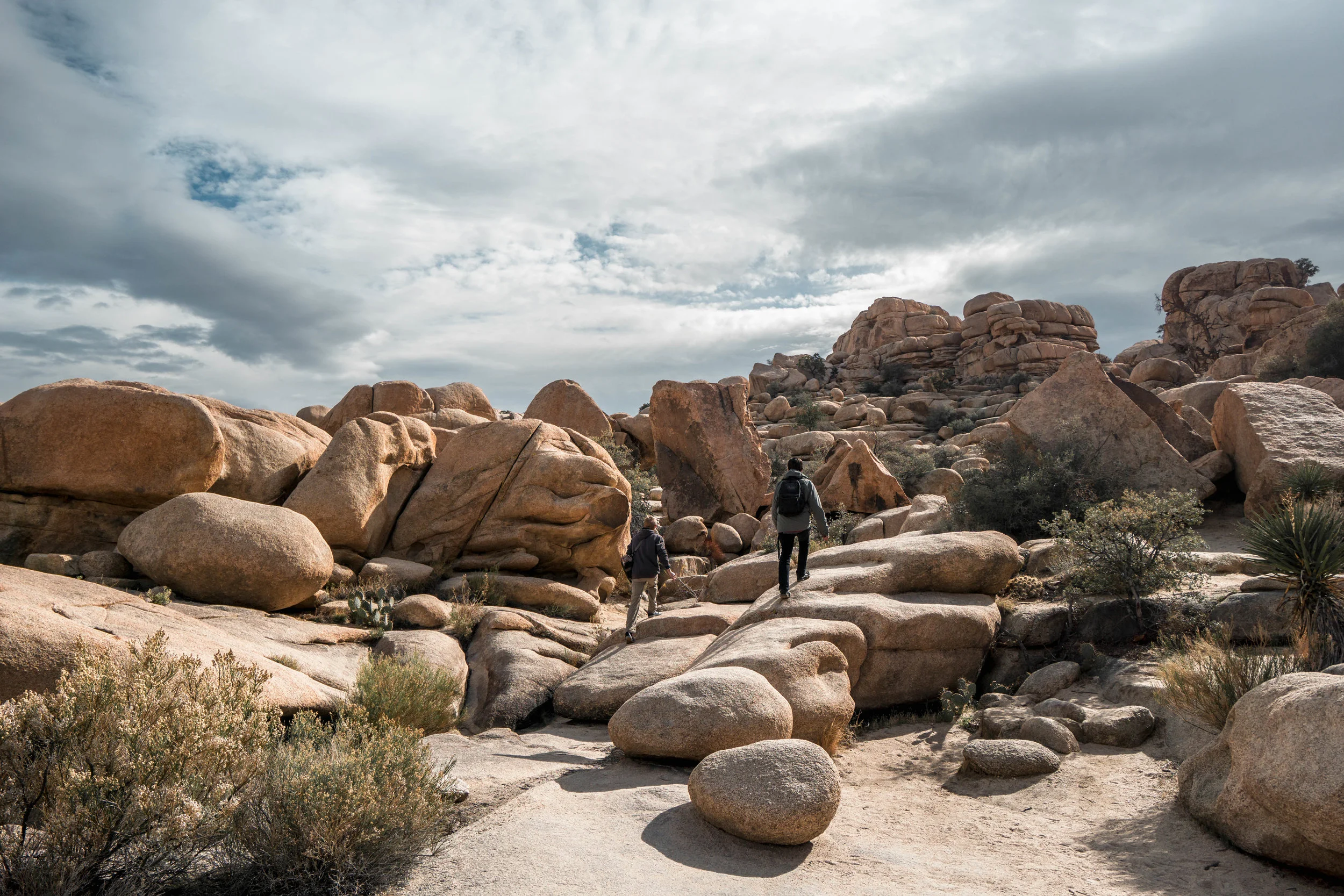 Our walk back to the car offers a final grand view of this rocky garden as our short desert Misadventure comes to a close. 