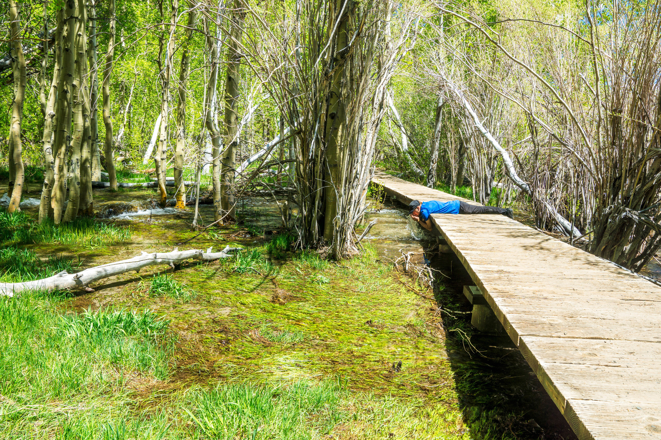 Once we reach a bridge crossing over a large fanned-out creek, we take the opportunity to cool down a bit.