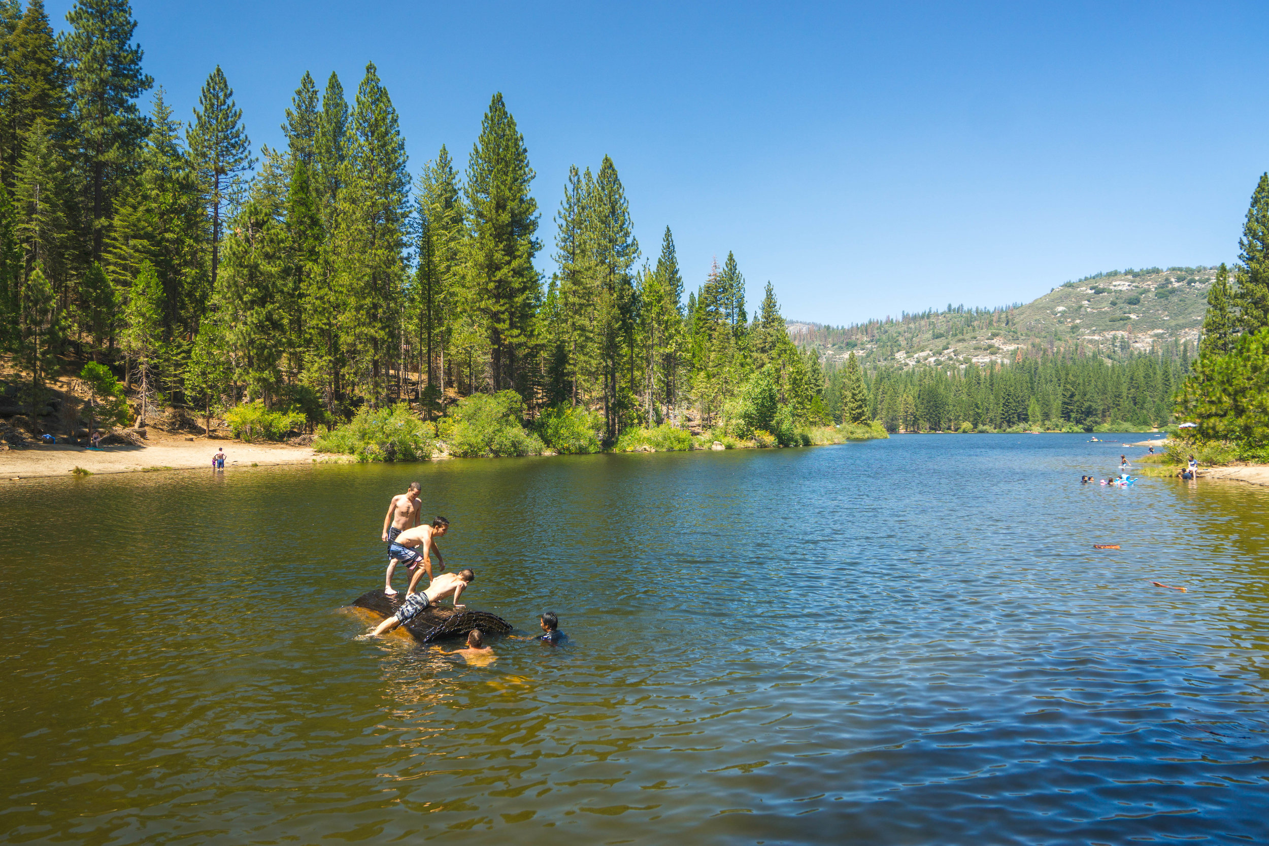 Downstream we venture to the lake & clamor onto a massive Giant Sequoia log! 