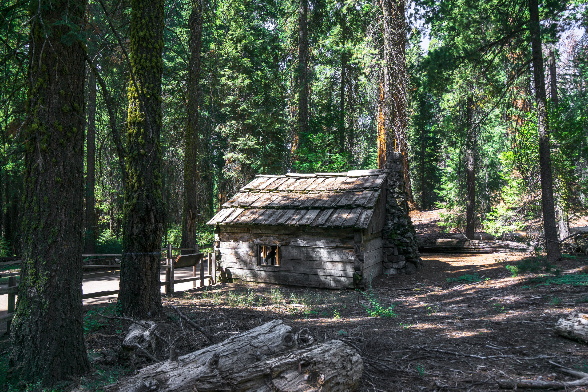 An old cabin from an 1800's rancher remains as a reminder that these mountains weren't always a National Park.